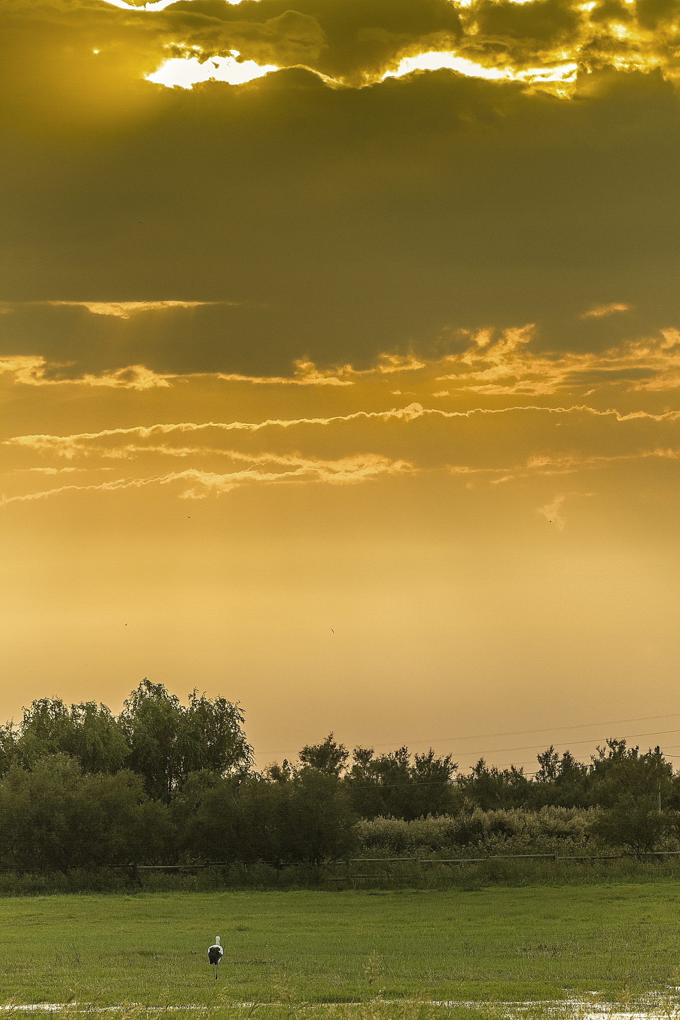 Canon EF 70-200mm F2.8L IS II USM sample photo. Cigonya posta de sol photography