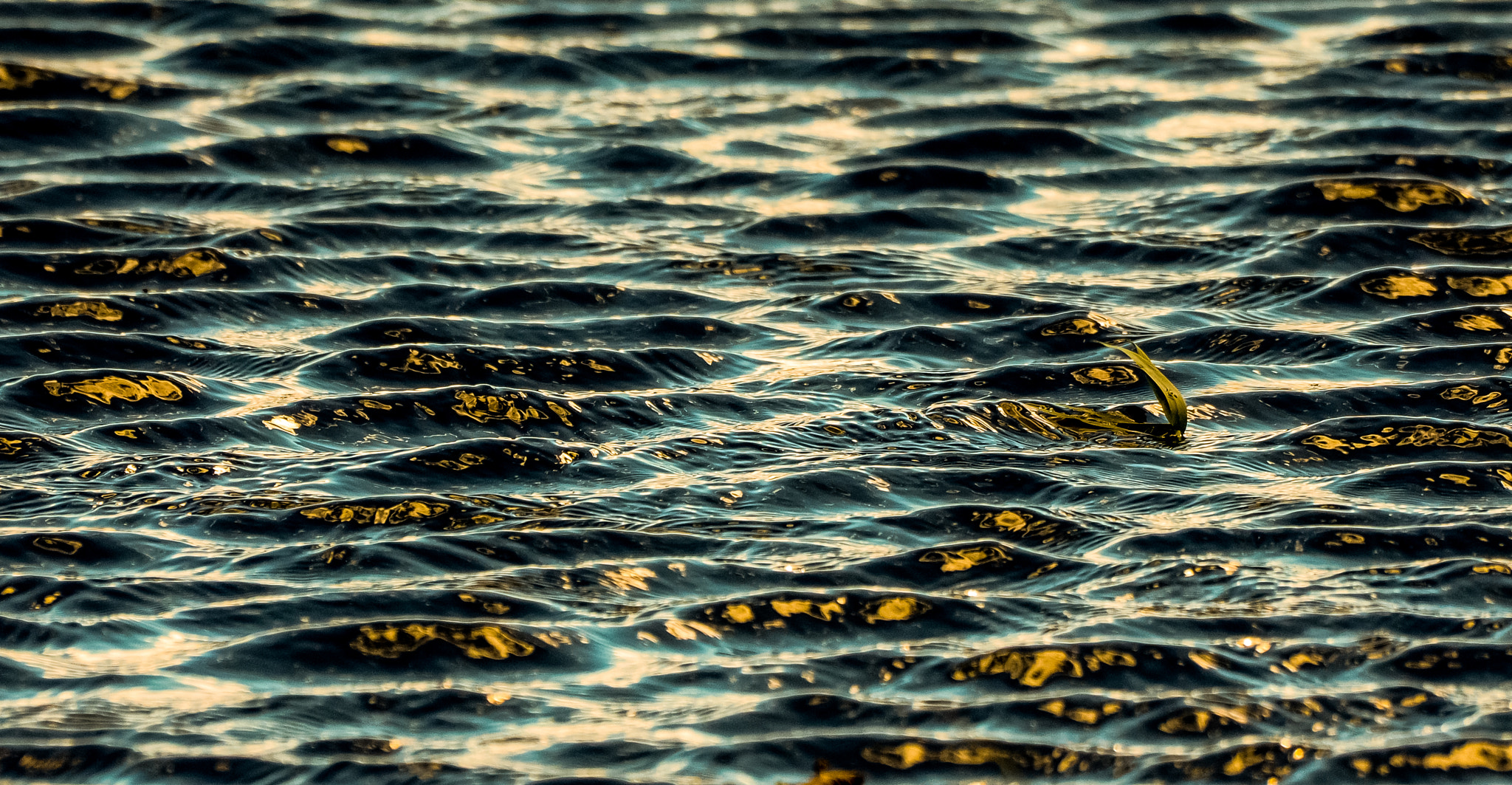 Olympus Zuiko Digital ED 70-300mm F4.0-5.6 sample photo. Colored water photography