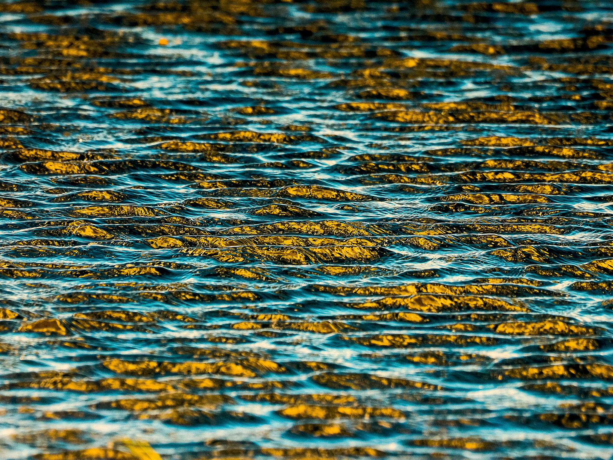 Olympus Zuiko Digital ED 70-300mm F4.0-5.6 sample photo. Colored water photography