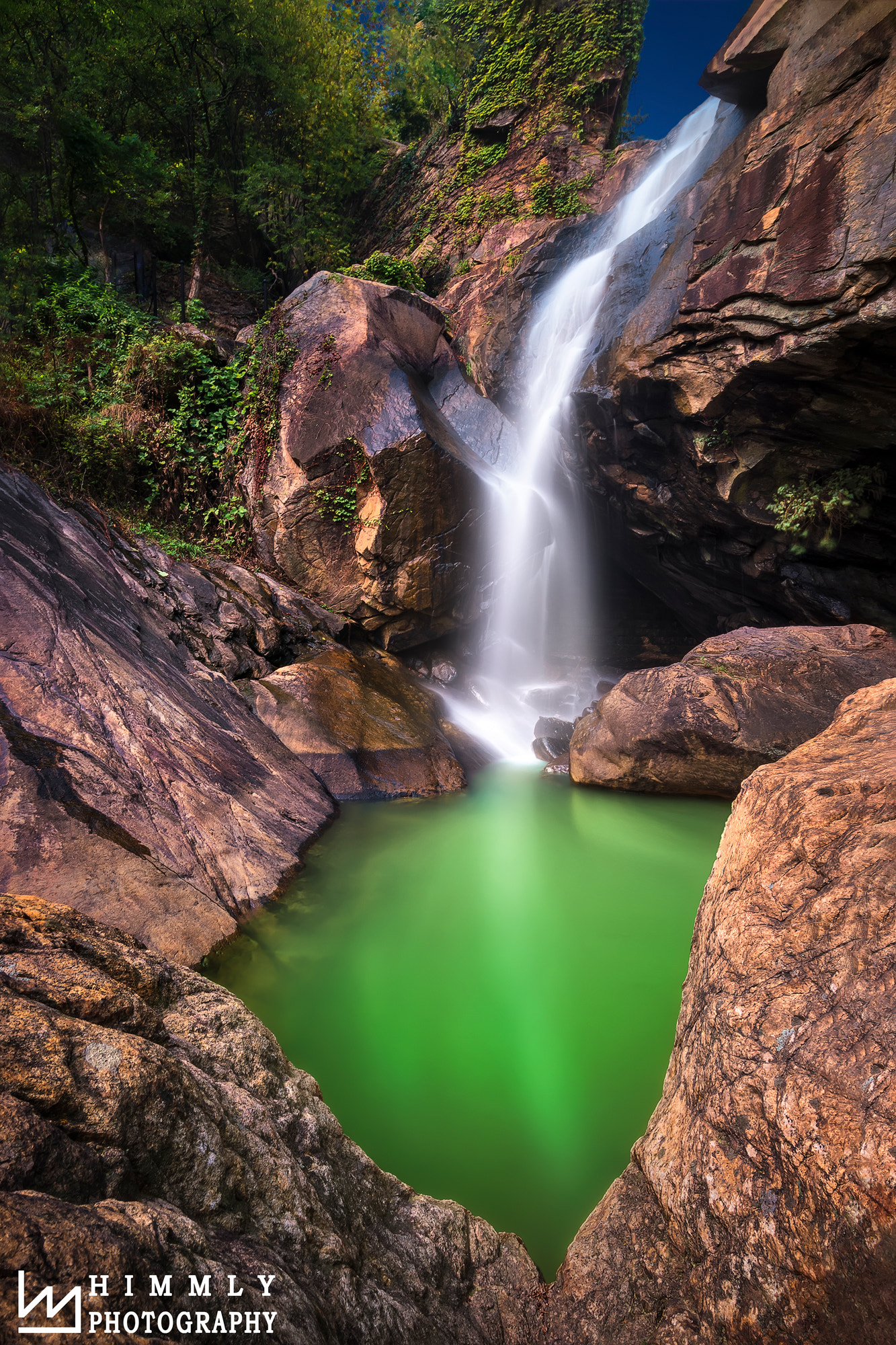 Samsung NX 12-24mm F4-5.6 ED sample photo. Heart of the forest photography