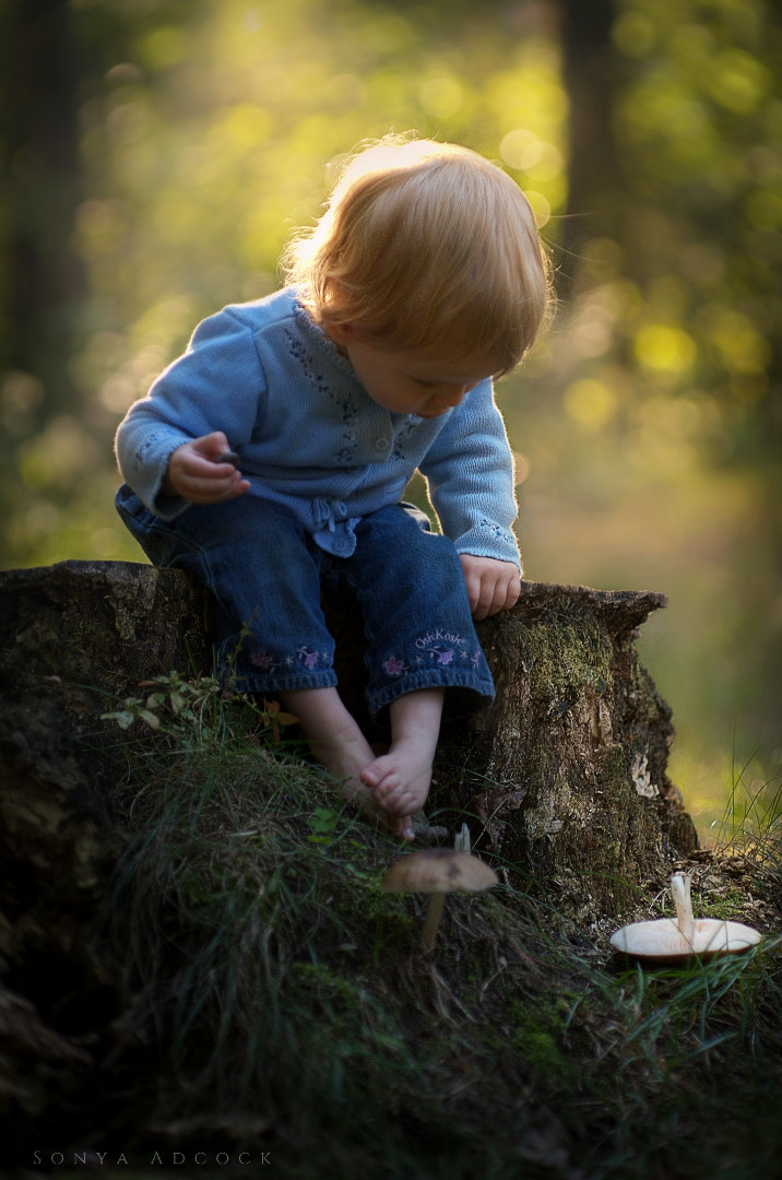 Nikon AF Nikkor 105mm F2D DC sample photo. The toadstool photography