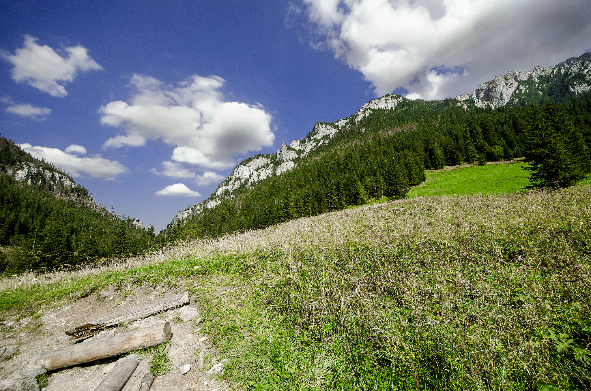 Sigma 8-16mm F4.5-5.6 DC HSM sample photo. Rest photography