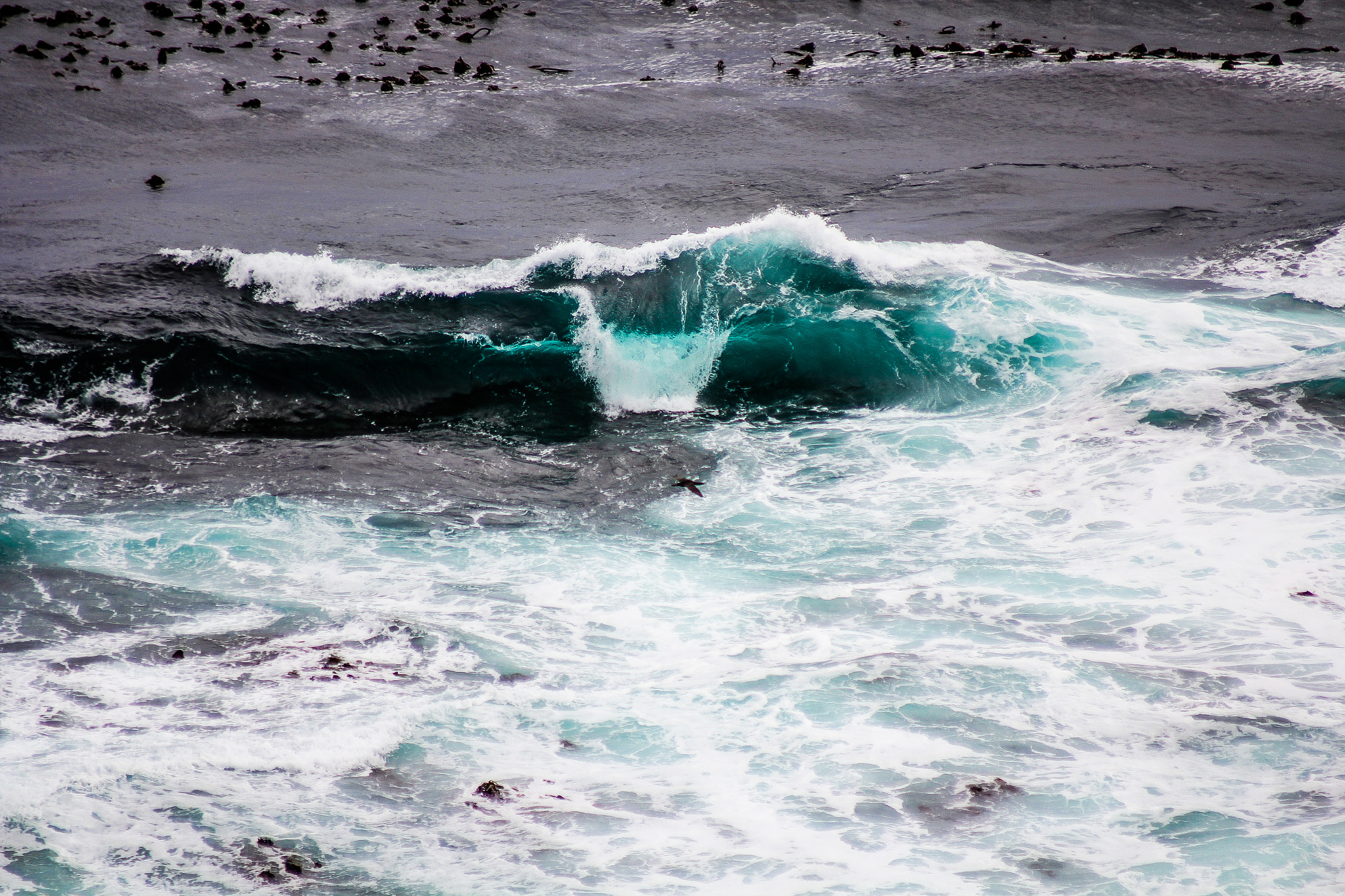 Canon EOS 60D + Canon EF 70-210mm f/4 sample photo. Breaking wave photography