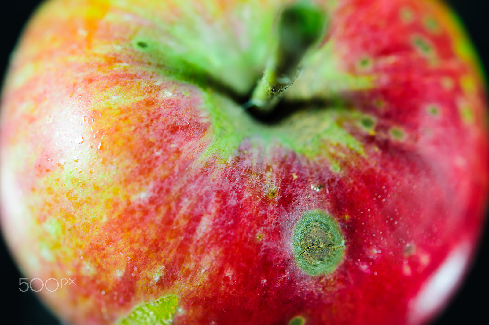 Nikon AF-S Micro-Nikkor 60mm F2.8G ED sample photo. узор photography