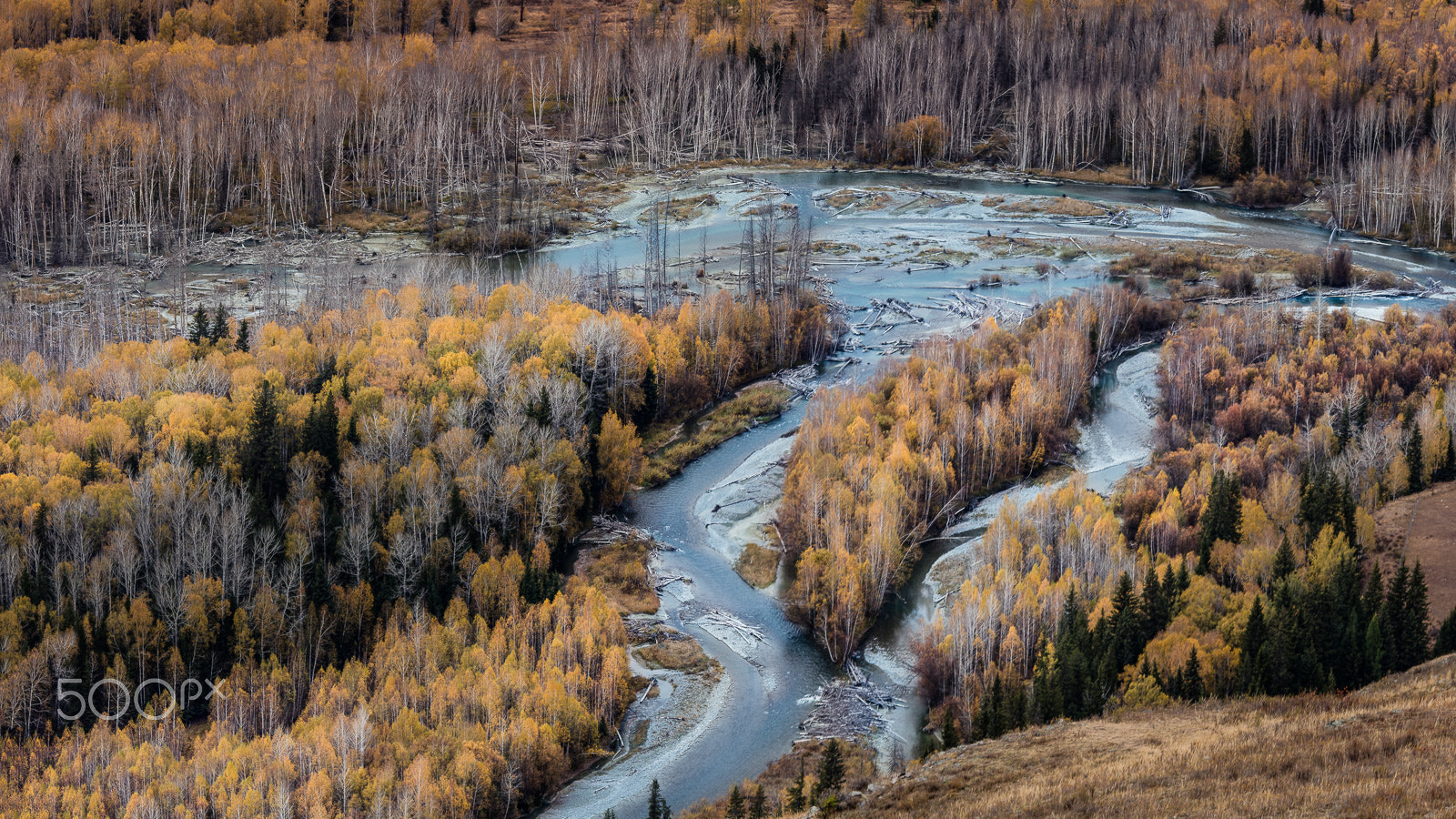 Canon EF 135mm F2L USM sample photo. Autumn photography