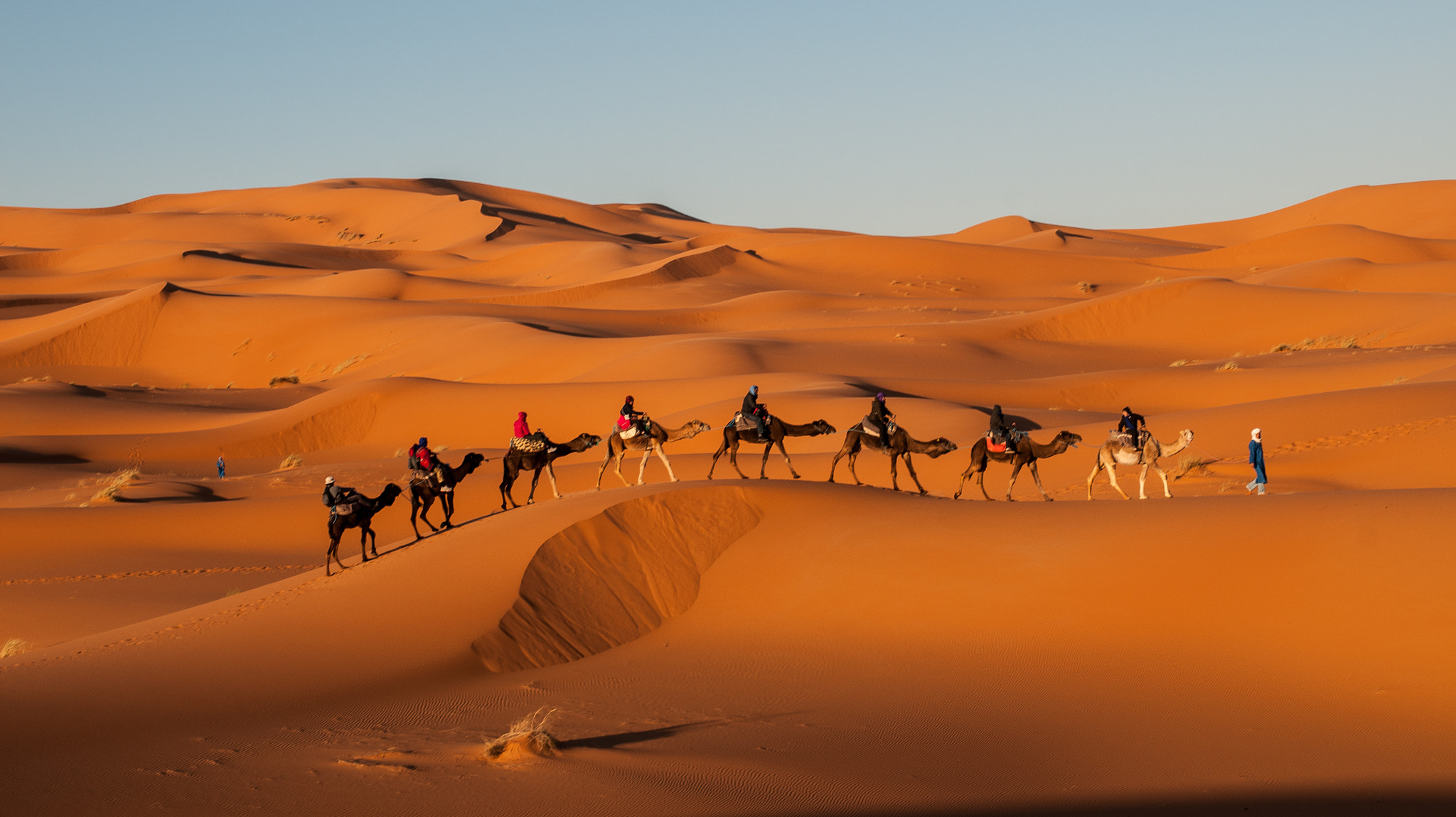 Sigma 24-70mm F2.8 EX DG HSM sample photo. The desert o photography