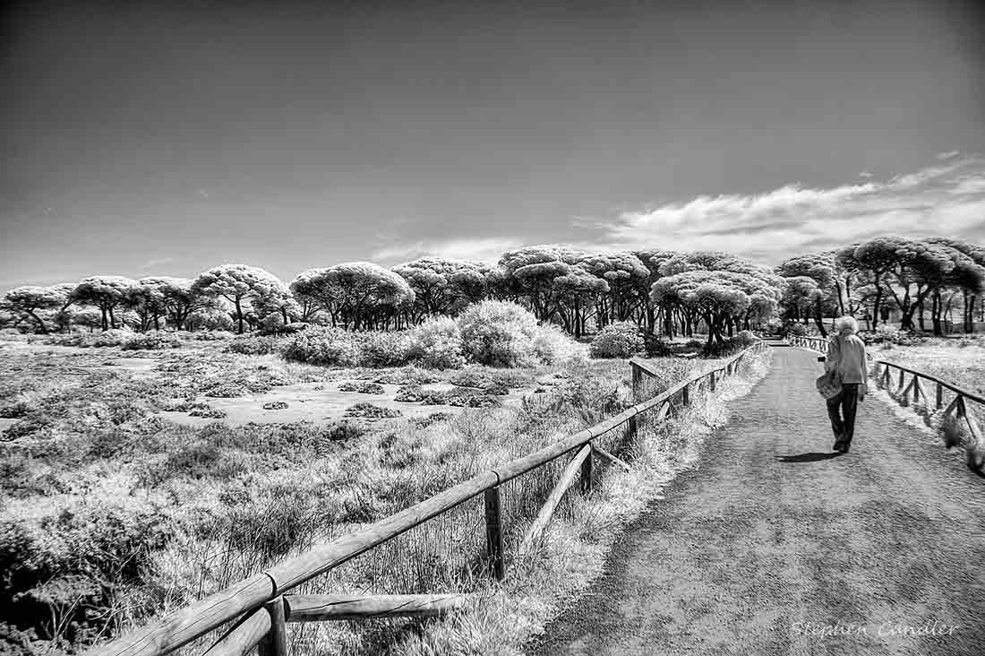 Canon EF-S 17-85mm F4-5.6 IS USM sample photo. Salinas walk photography
