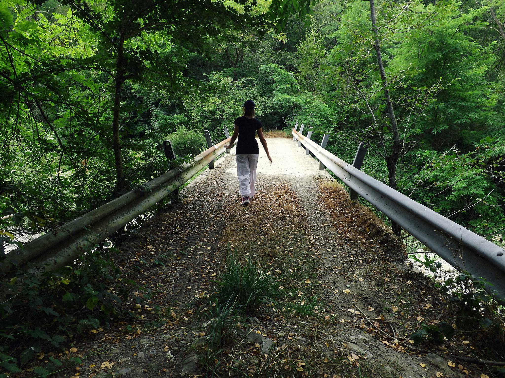 Fujifilm FinePix S4900 sample photo. Bridge photography