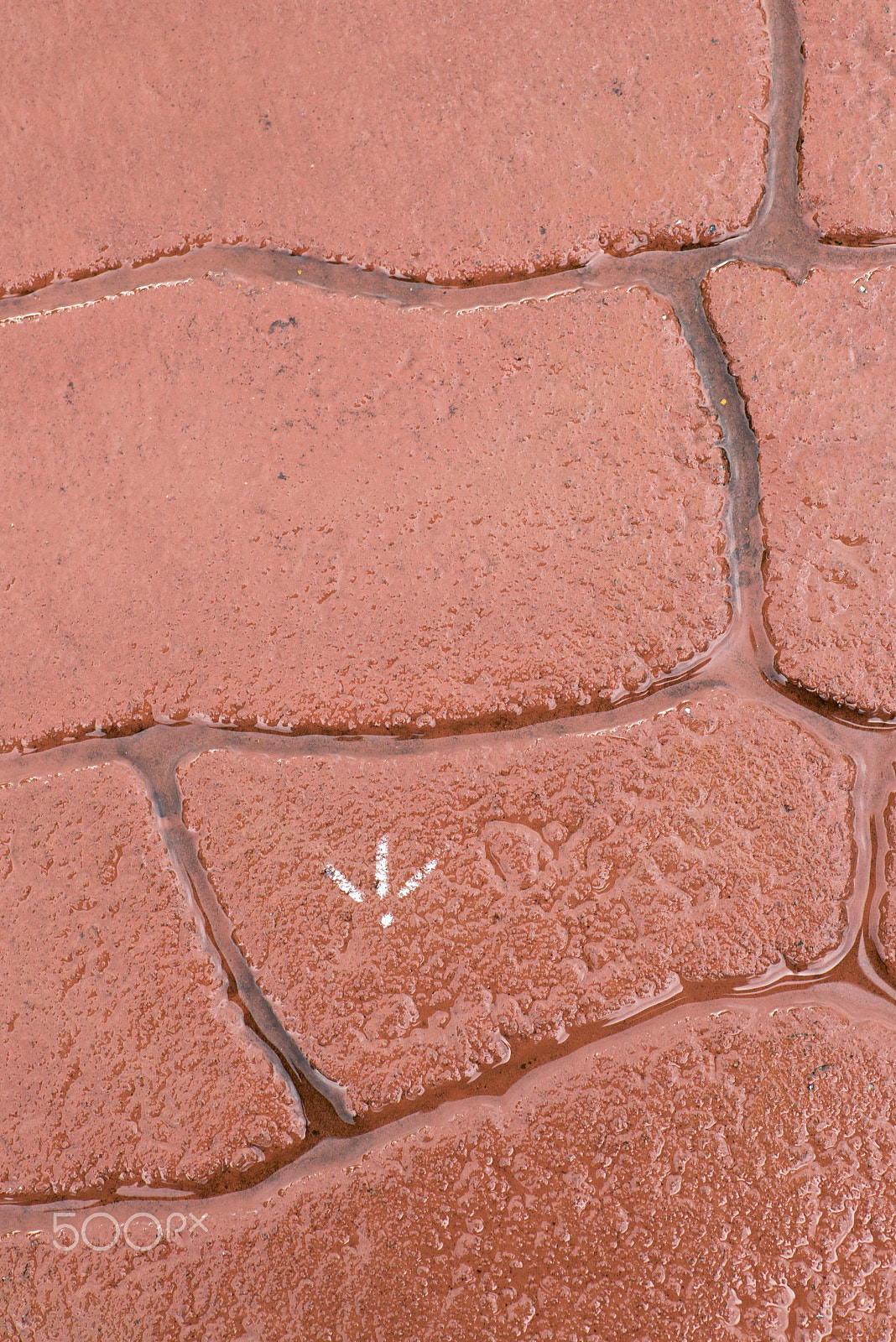 Tamron SP AF 90mm F2.8 Di Macro sample photo. One footprint on ground photography
