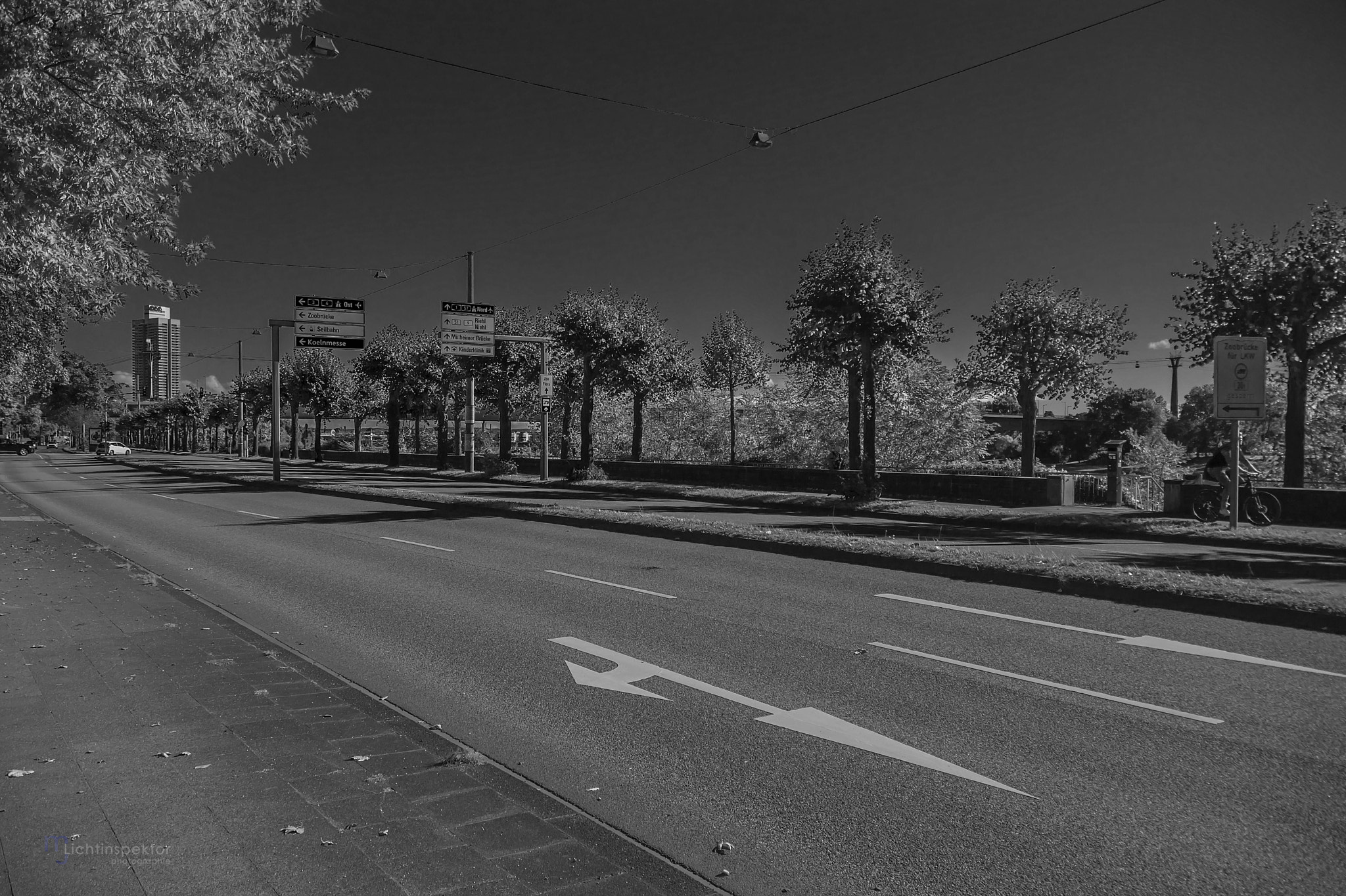 Sony DT 18-250mm F3.5-6.3 sample photo. Konrad adenauer allee photography