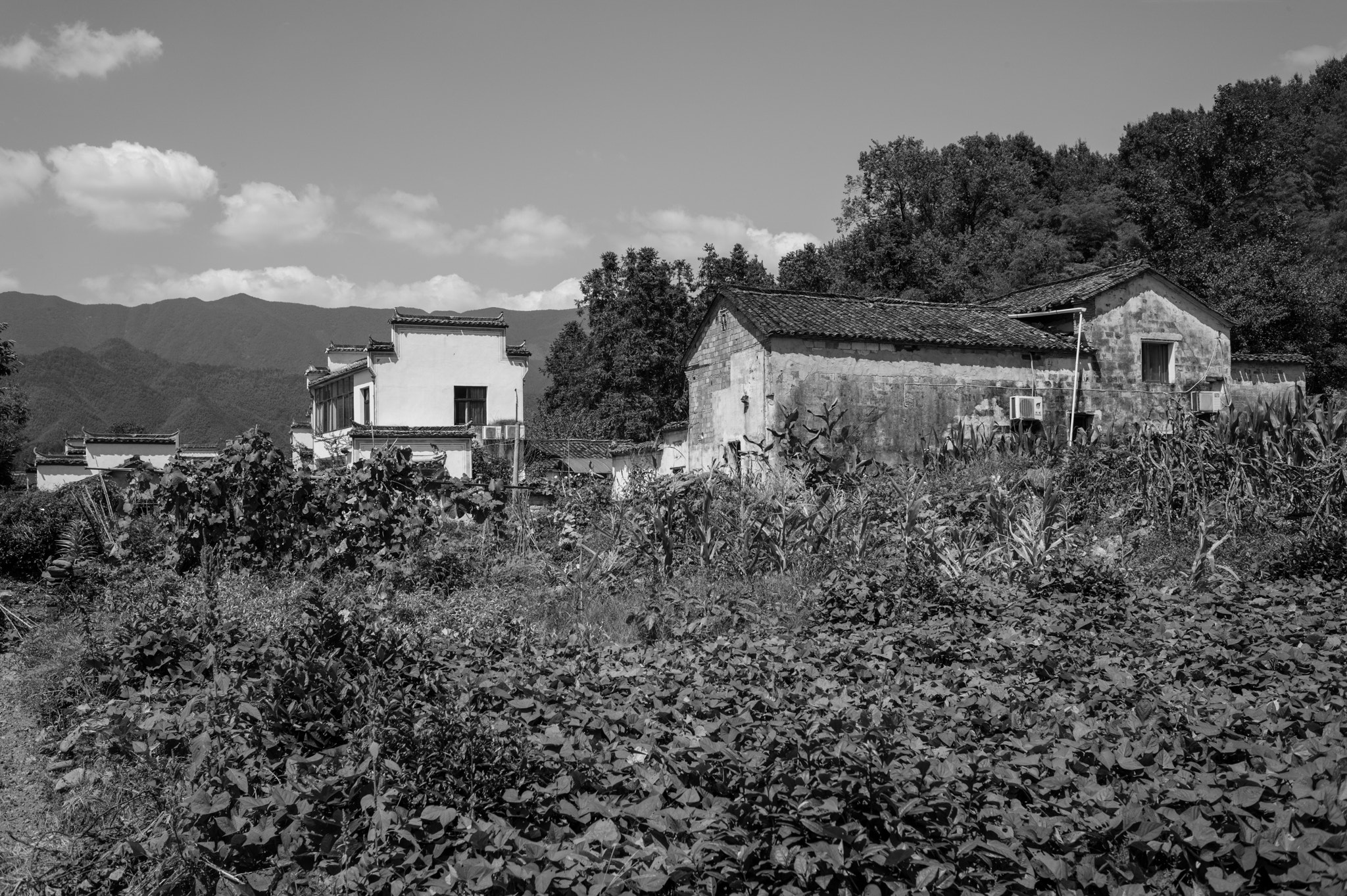 Leica Summicron-M 28mm F2 ASPH sample photo. Hongcun, huizhou, china photography