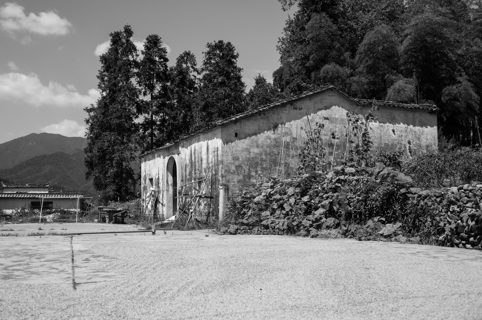 Leica Summicron-M 28mm F2 ASPH sample photo. Hongcun photography