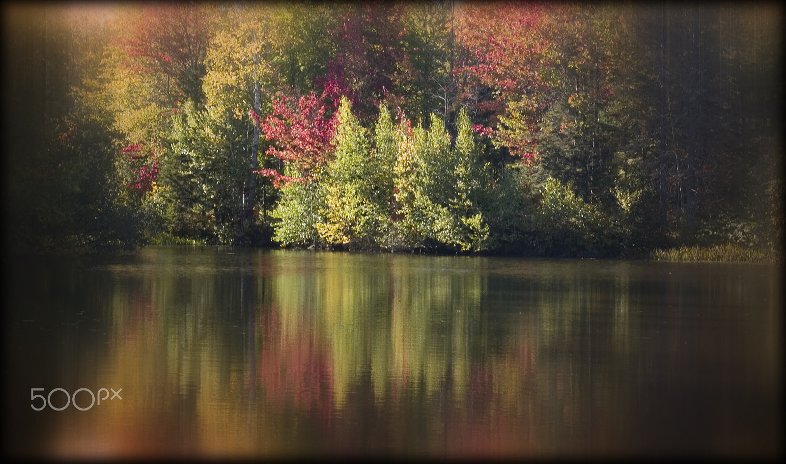 Nikon D500 sample photo. Fall colors photography