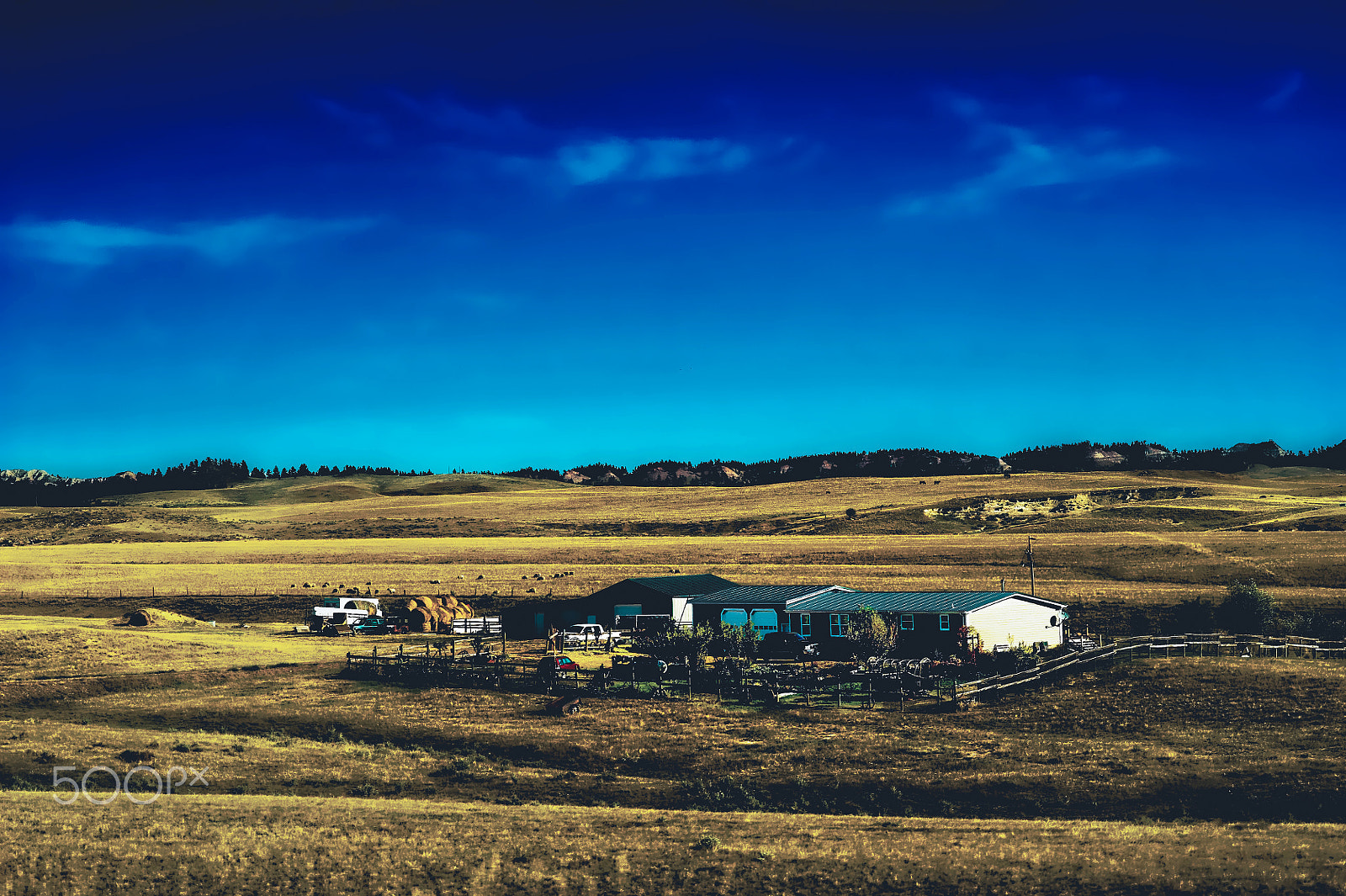 Nikon D3S + Nikon AF-S Nikkor 85mm F1.4G sample photo. Little ranch photography