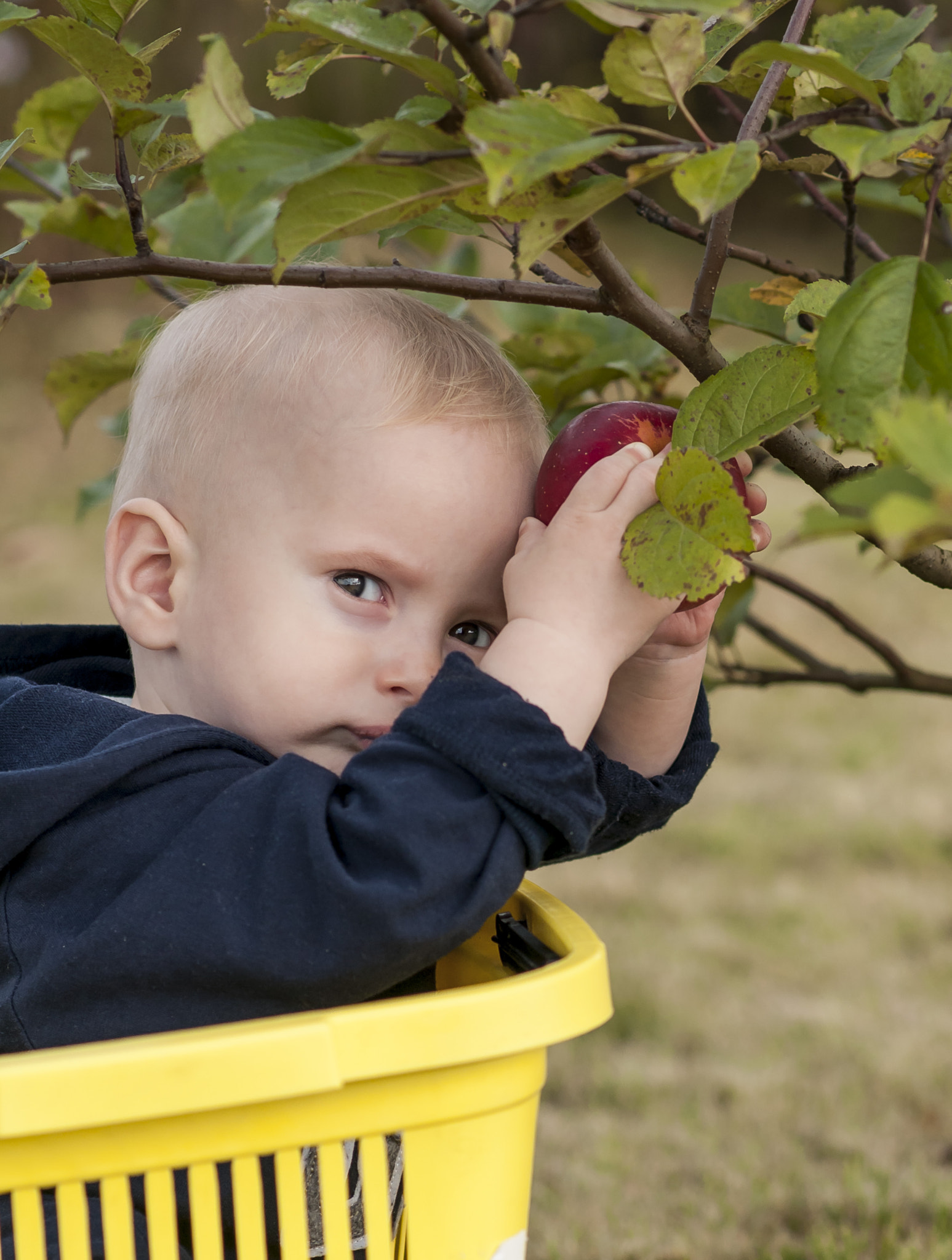 Nikon D300 sample photo. Boy in the garden photography