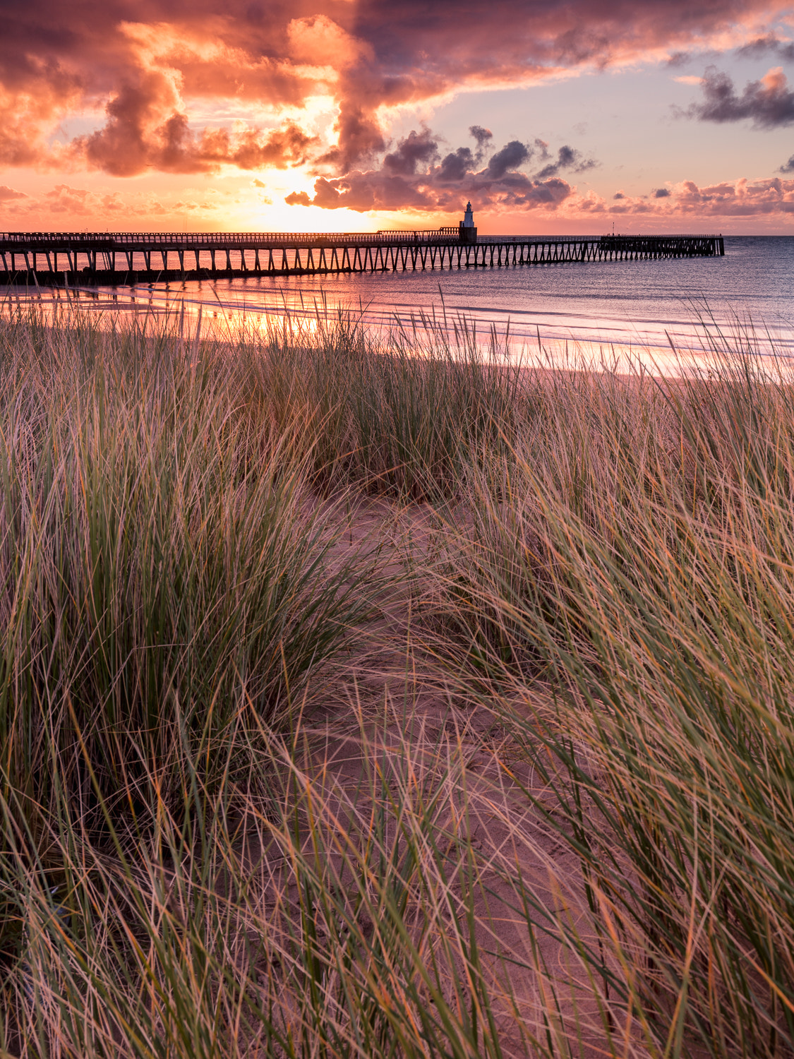Canon EOS 5DS R + Canon EF 16-35mm F4L IS USM sample photo. Blyth dunes photography