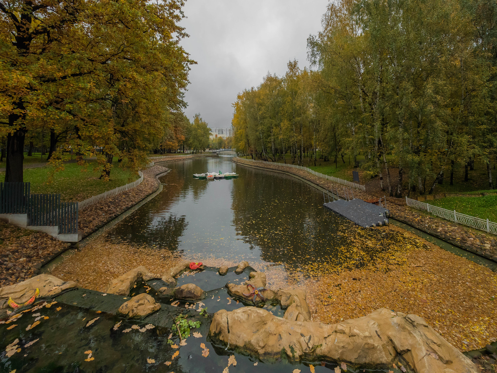 Panasonic Lumix DMC-GH4 sample photo. Pond full of leaves photography