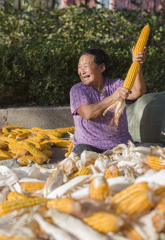 Nikon D810 sample photo. The joy of harvest photography