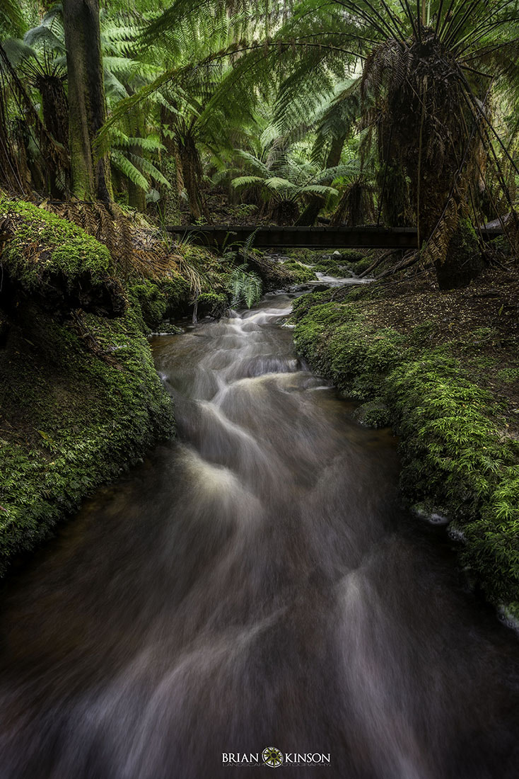 Sony a7R + 17-40mm F4 G SSM sample photo. The run off photography