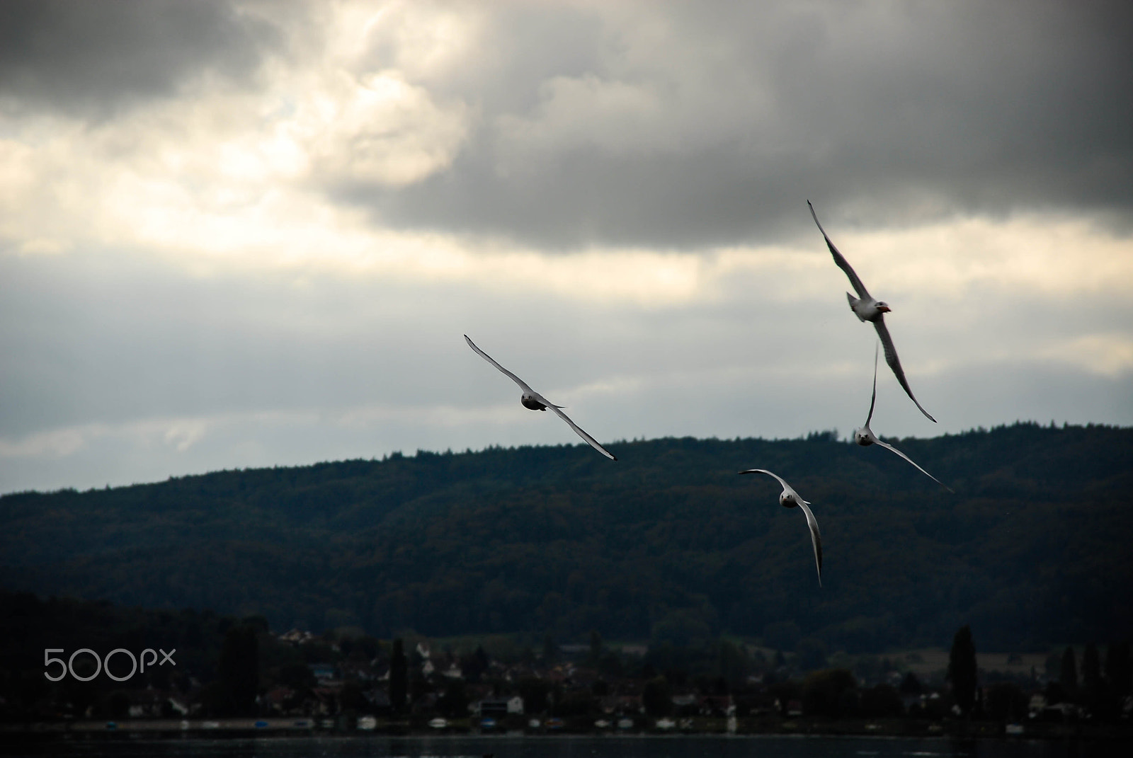 Nikon D200 sample photo. Lets do some air race photography