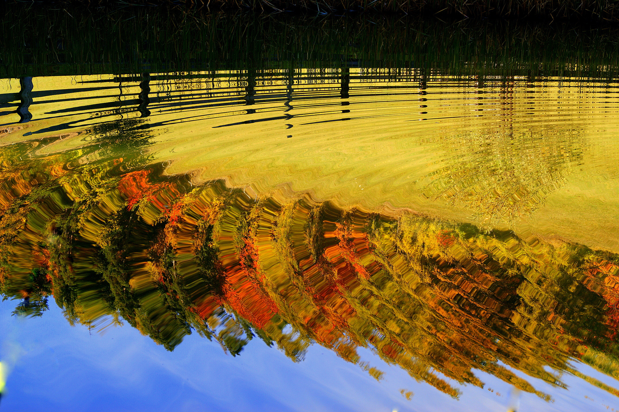Sony DT 18-200mm F3.5-6.3 sample photo. Reflections in pond photography