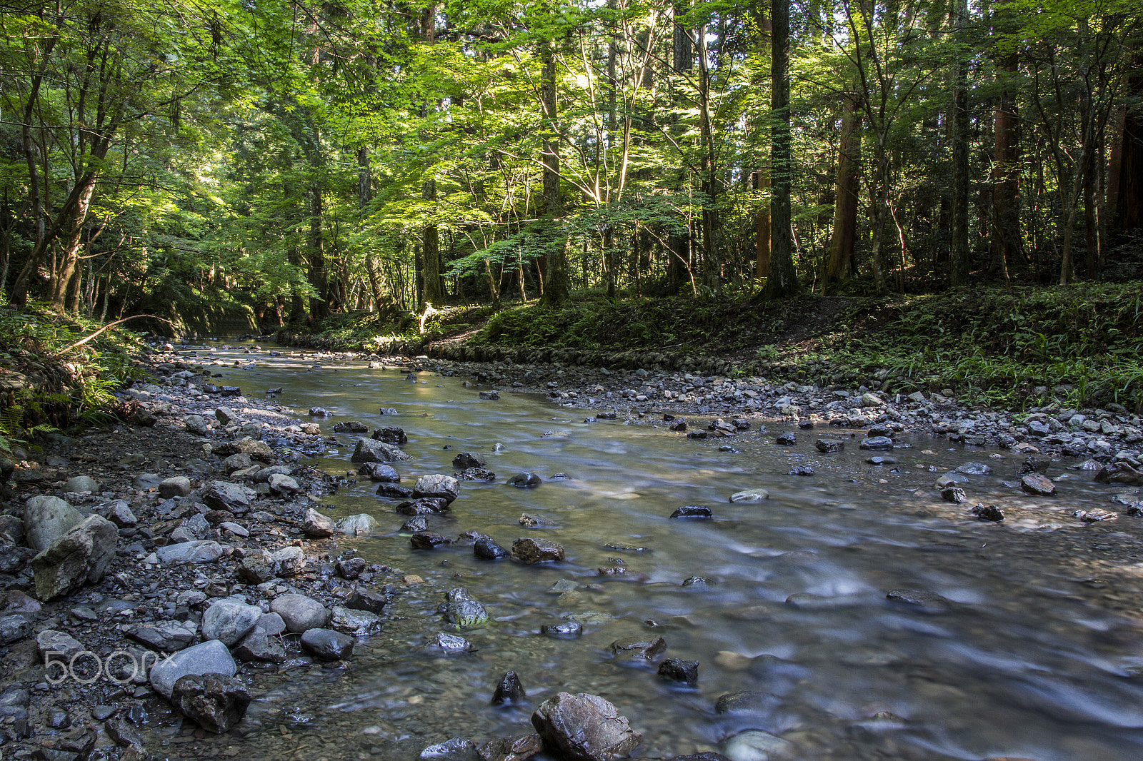 Canon EOS 700D (EOS Rebel T5i / EOS Kiss X7i) sample photo. Find the river photography