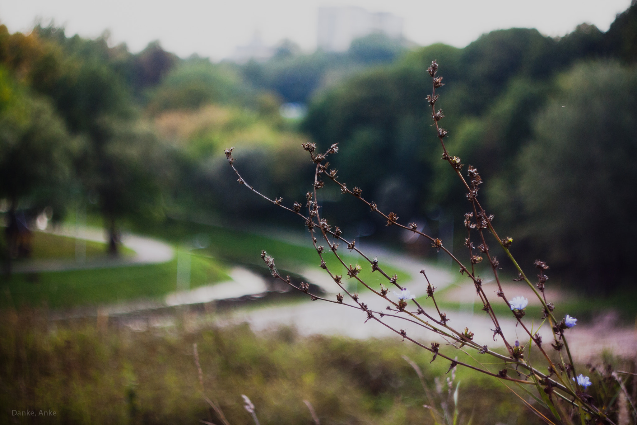 Canon EF 35-80mm f/4-5.6 sample photo. Be with you photography