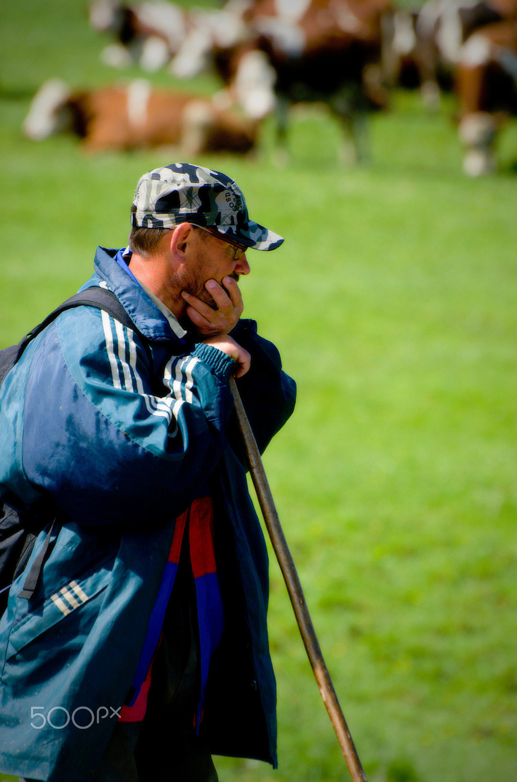 70.00 - 300.00 mm f/4.5 - 5.6 sample photo. Cowman photography