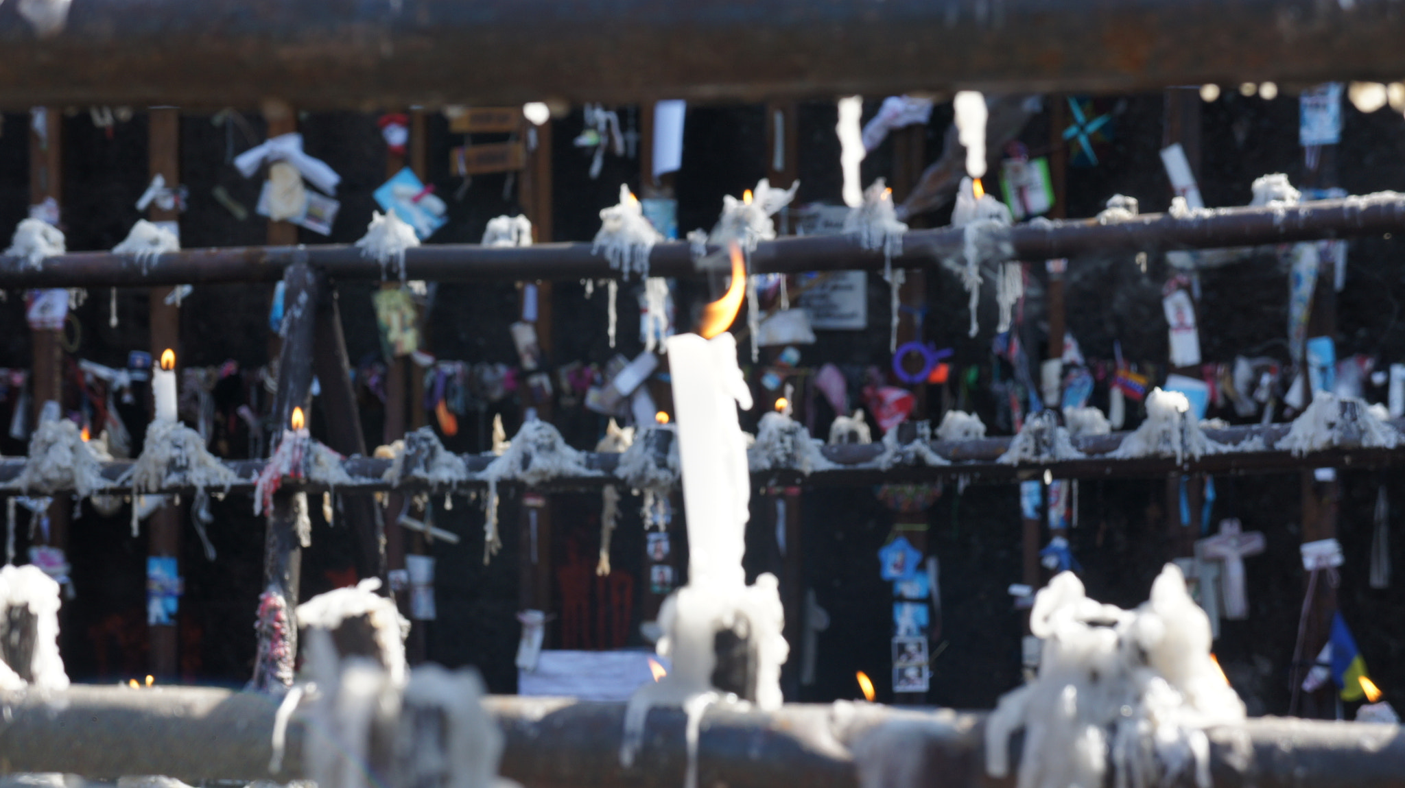 Sony Alpha NEX-3 sample photo. Luz da vida. photography