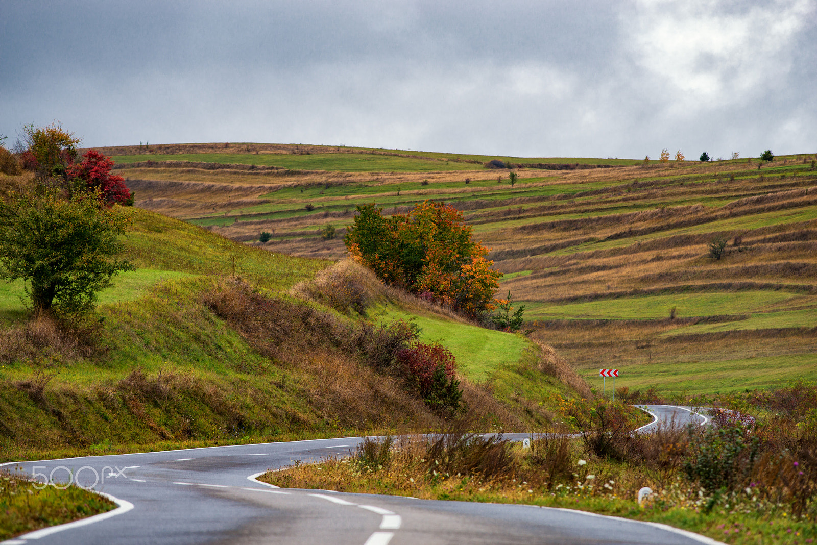 Nikon D800 sample photo. Country road photography