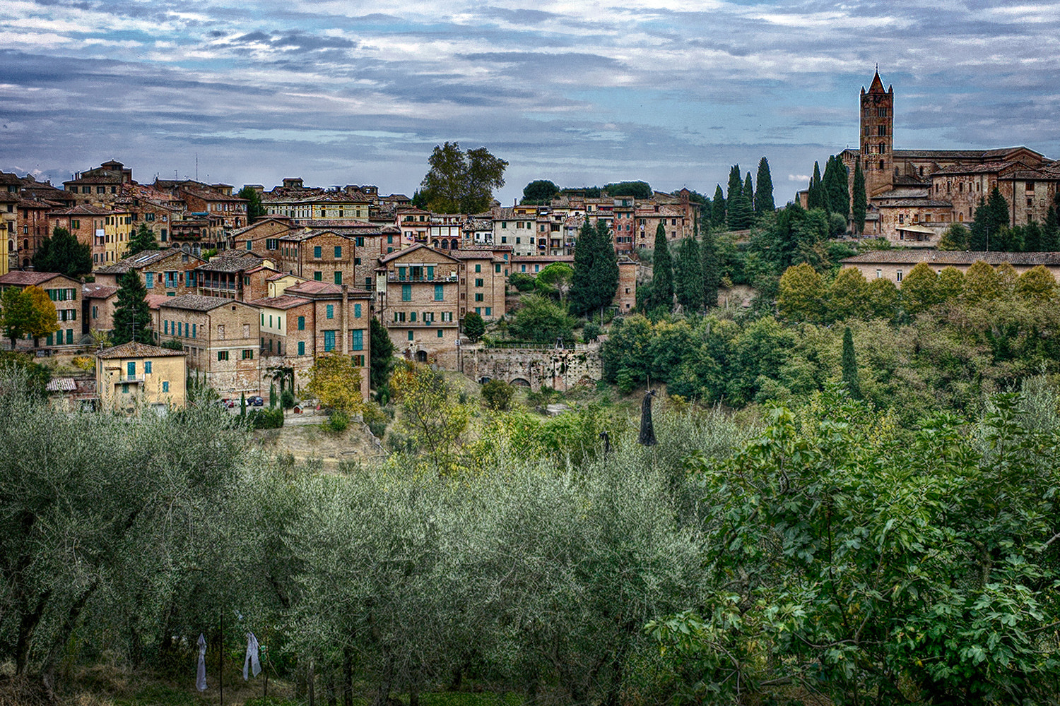 Leica M9 + Leica Summicron-M 35mm F2 ASPH sample photo. View to siena photography