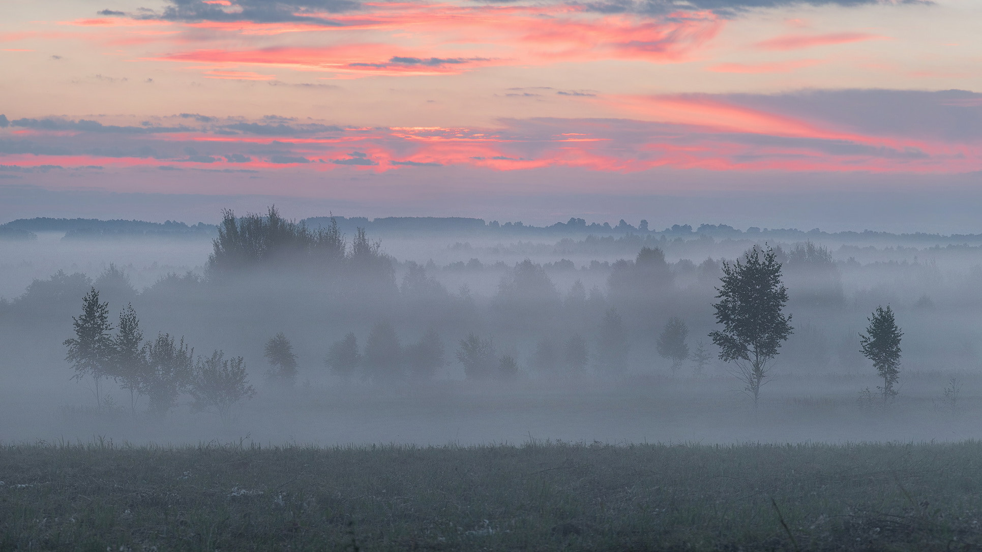 Nikon D500 sample photo. Pink and blue photography