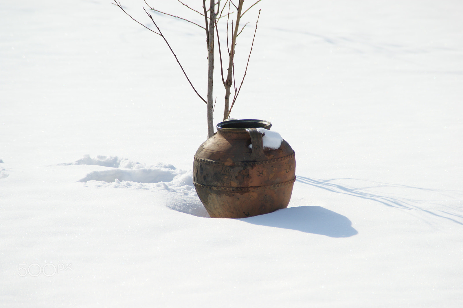 Sony DT 18-200mm F3.5-6.3 sample photo. A pot in the snow photography