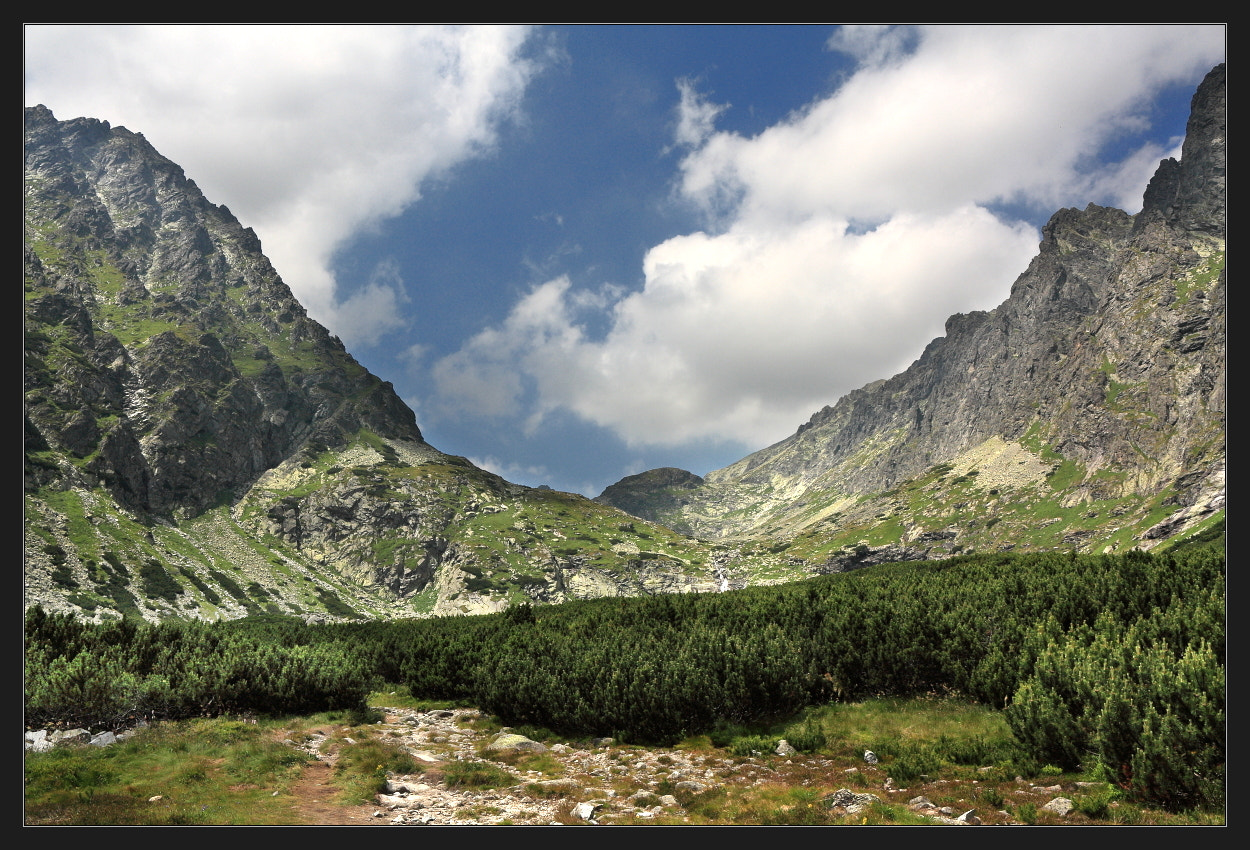 Canon EOS 450D (EOS Rebel XSi / EOS Kiss X2) sample photo. Tatra mountains iii photography