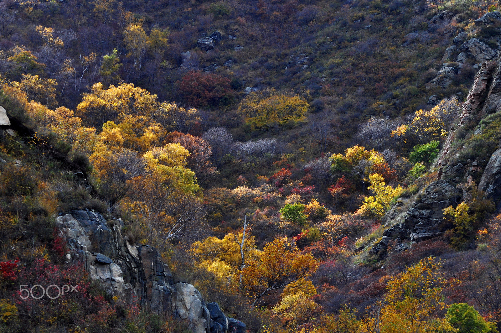 Nikon AF Nikkor 70-300mm F4-5.6G sample photo. Autumn colors photography