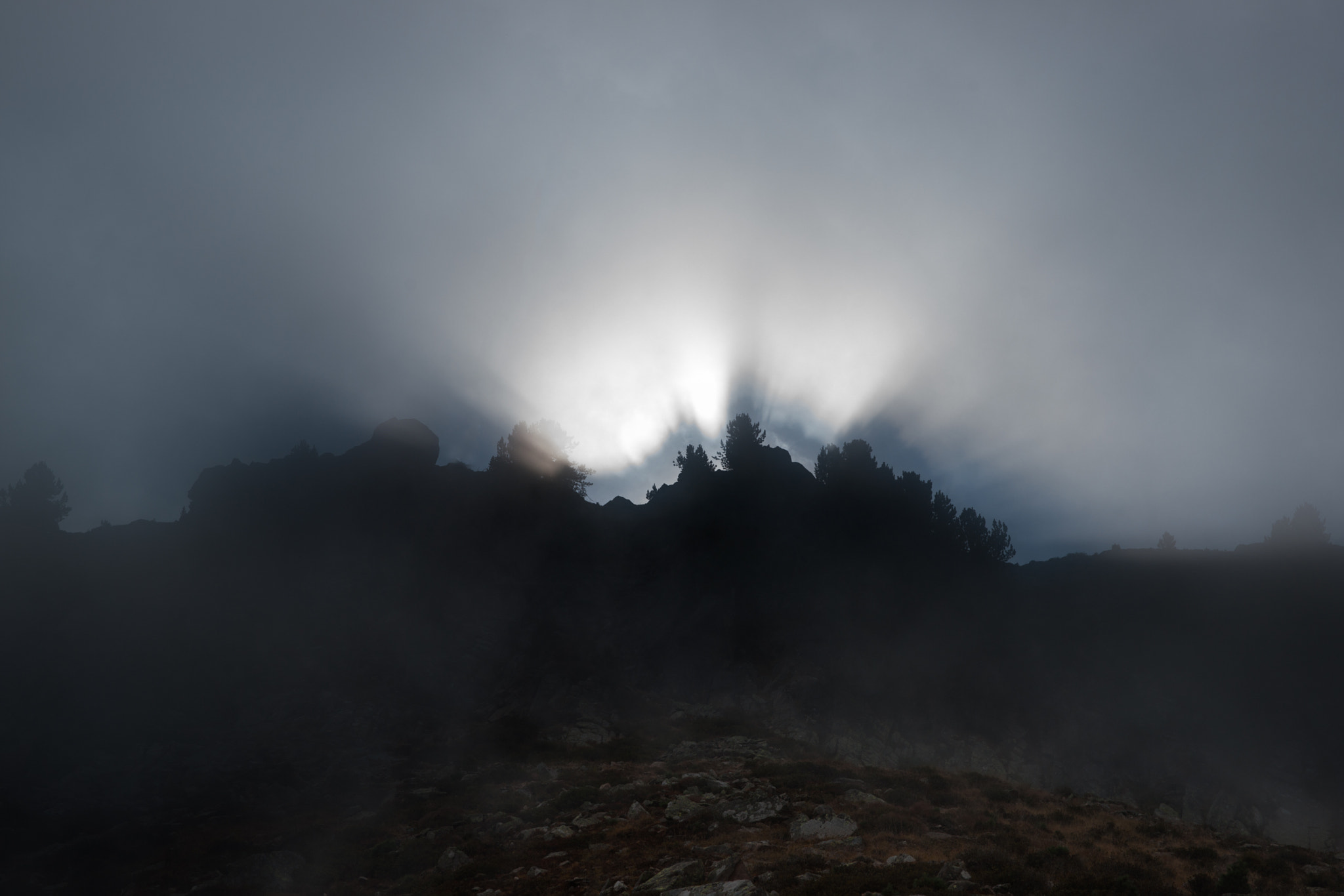 Sony Alpha DSLR-A900 sample photo. Foggy backlighting photography