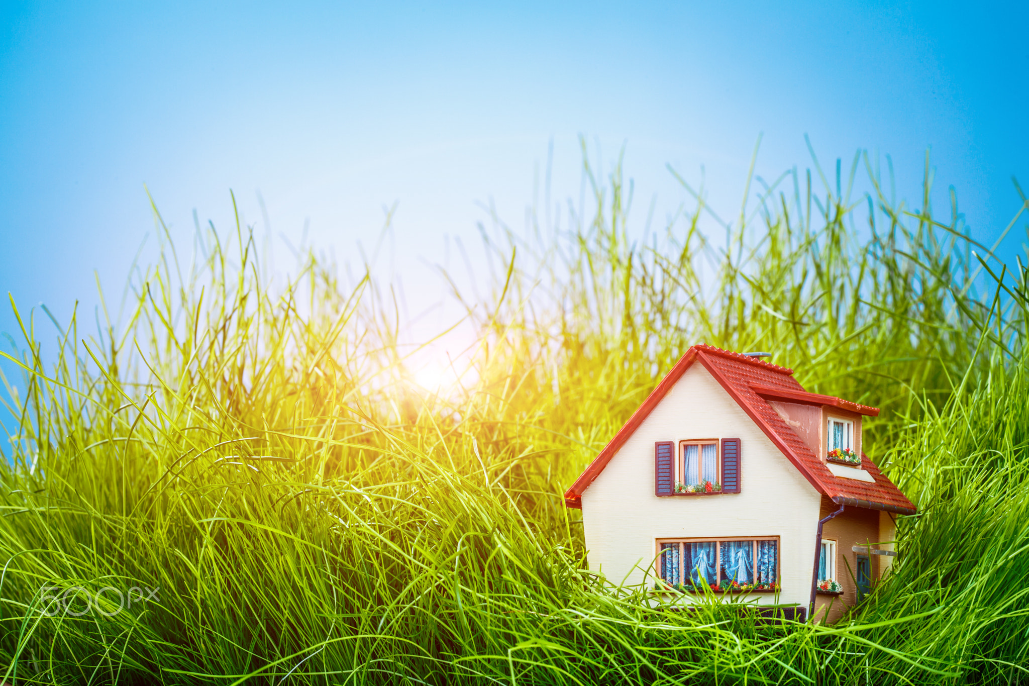 home insurance