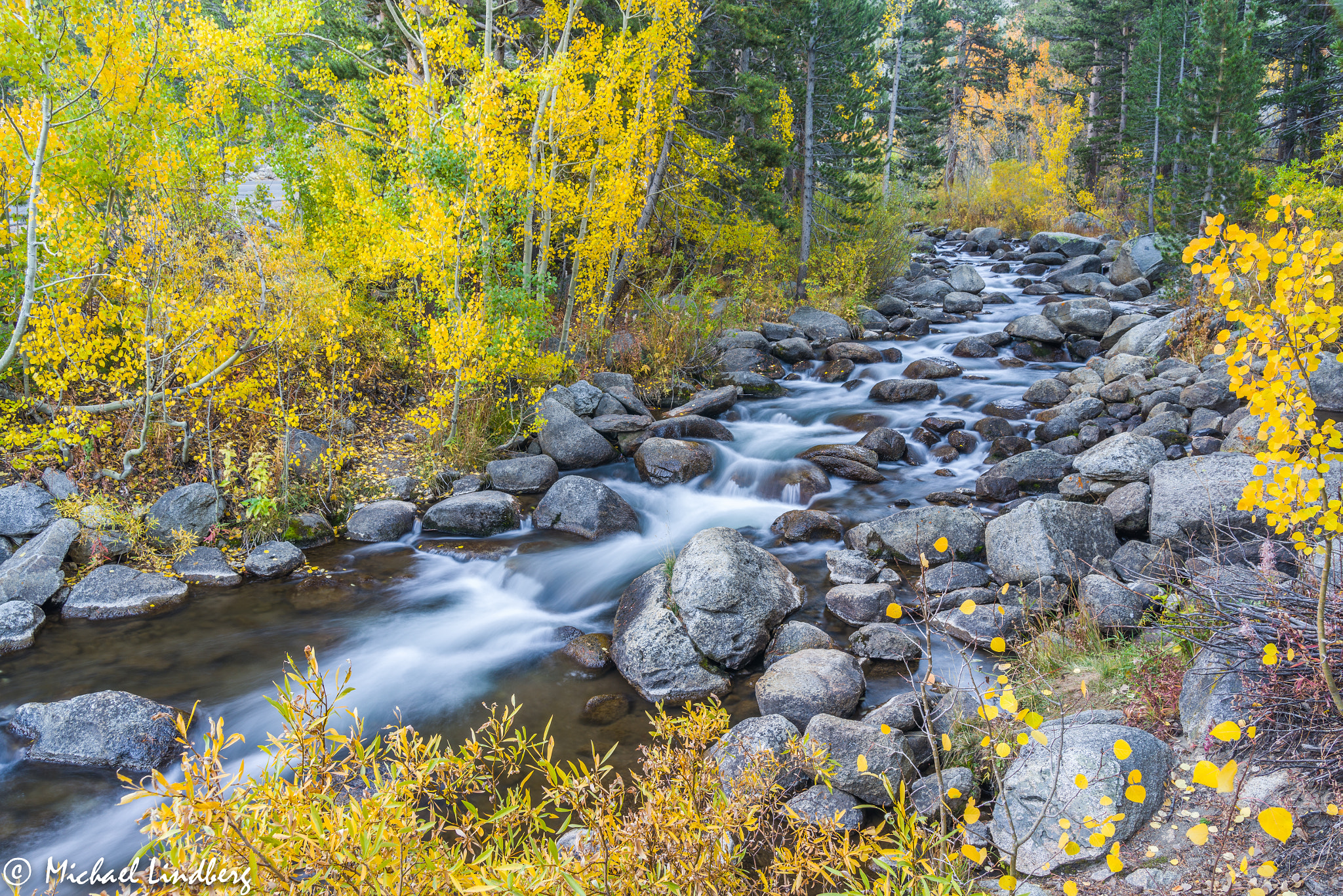 Tamron AF 28-75mm F2.8 XR Di LD Aspherical (IF) sample photo. Gold rush photography