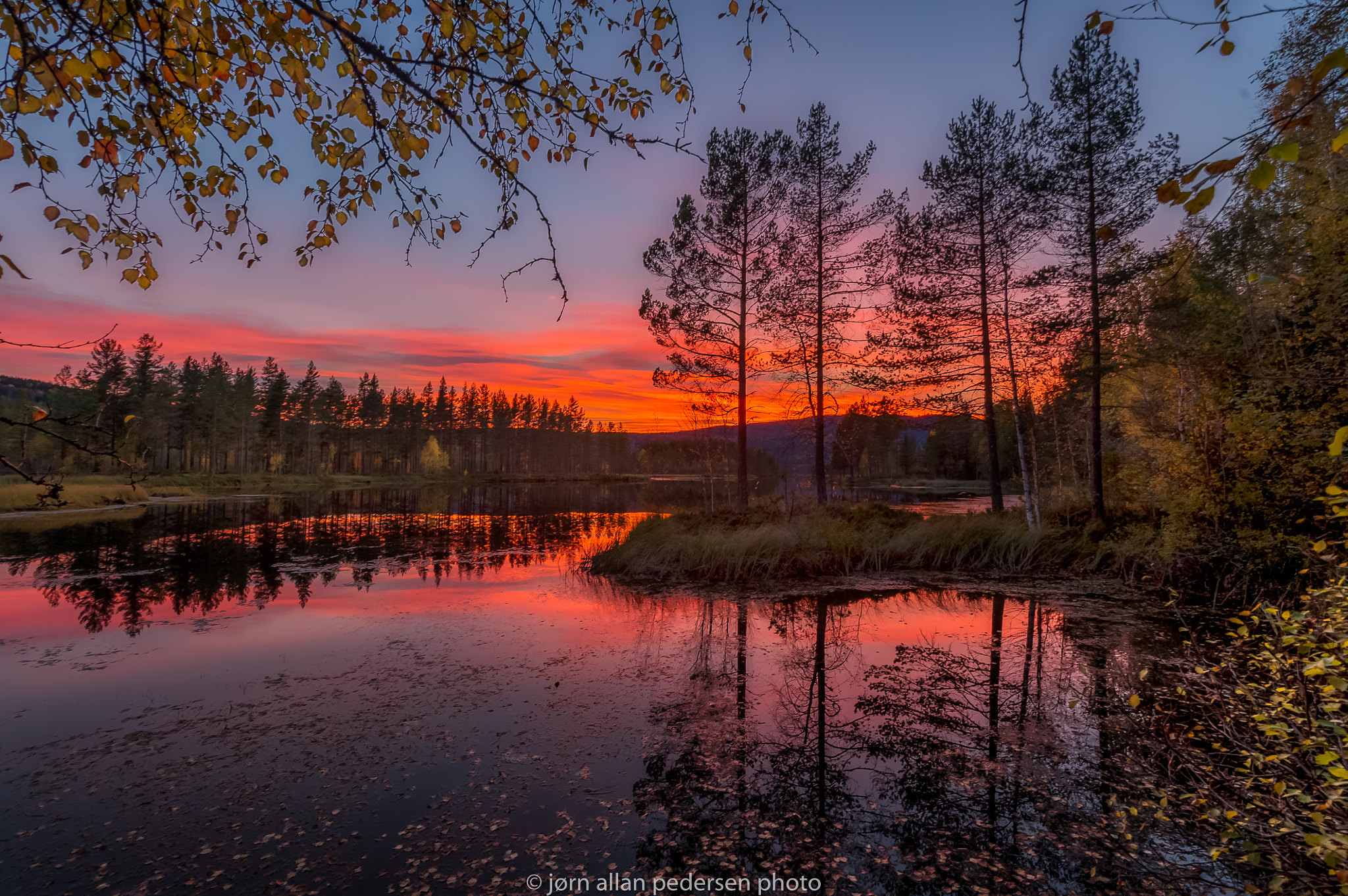 Nikon D3S sample photo. Autumn fire photography