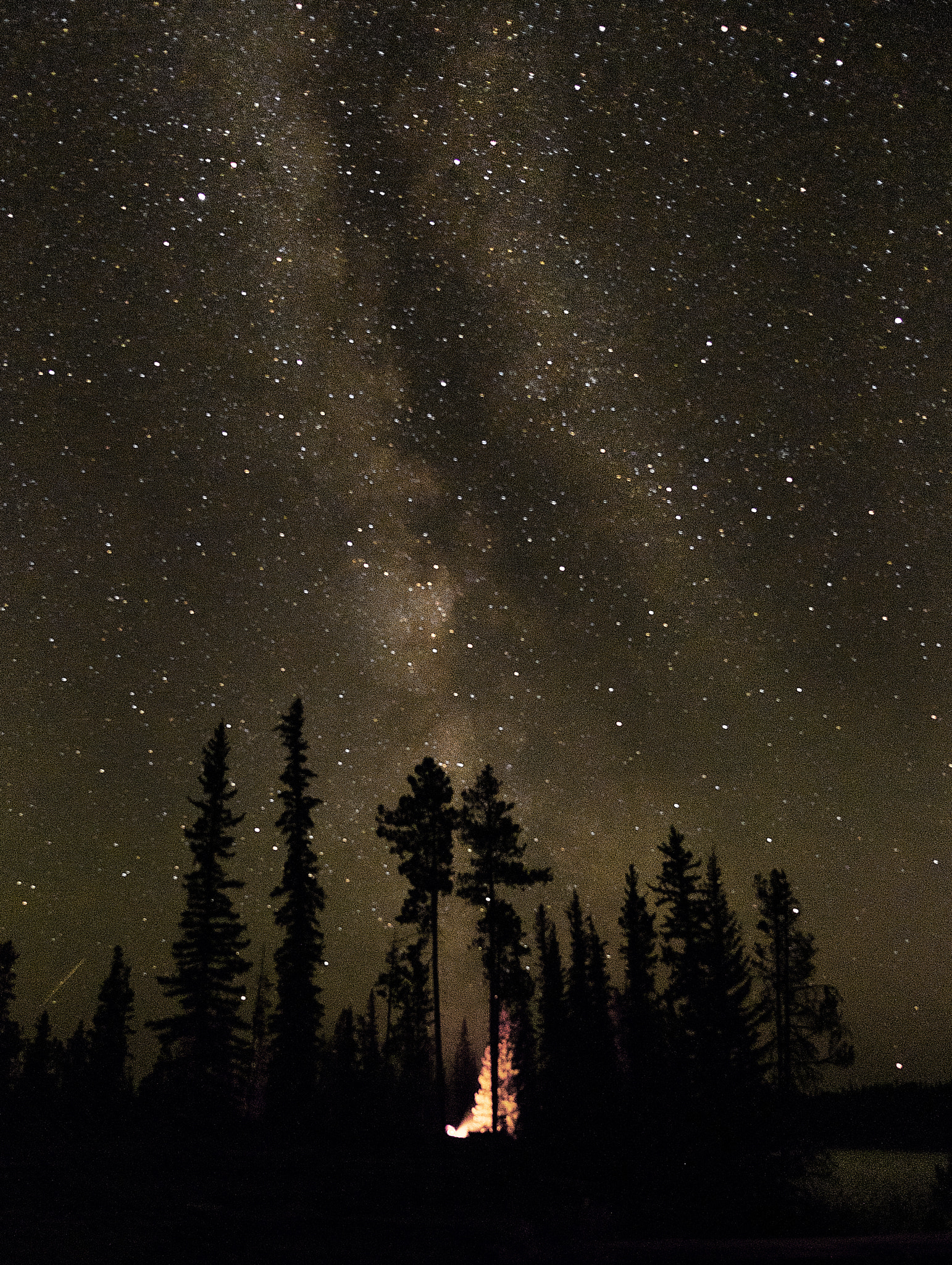 Sony a7R sample photo. Under the stars photography