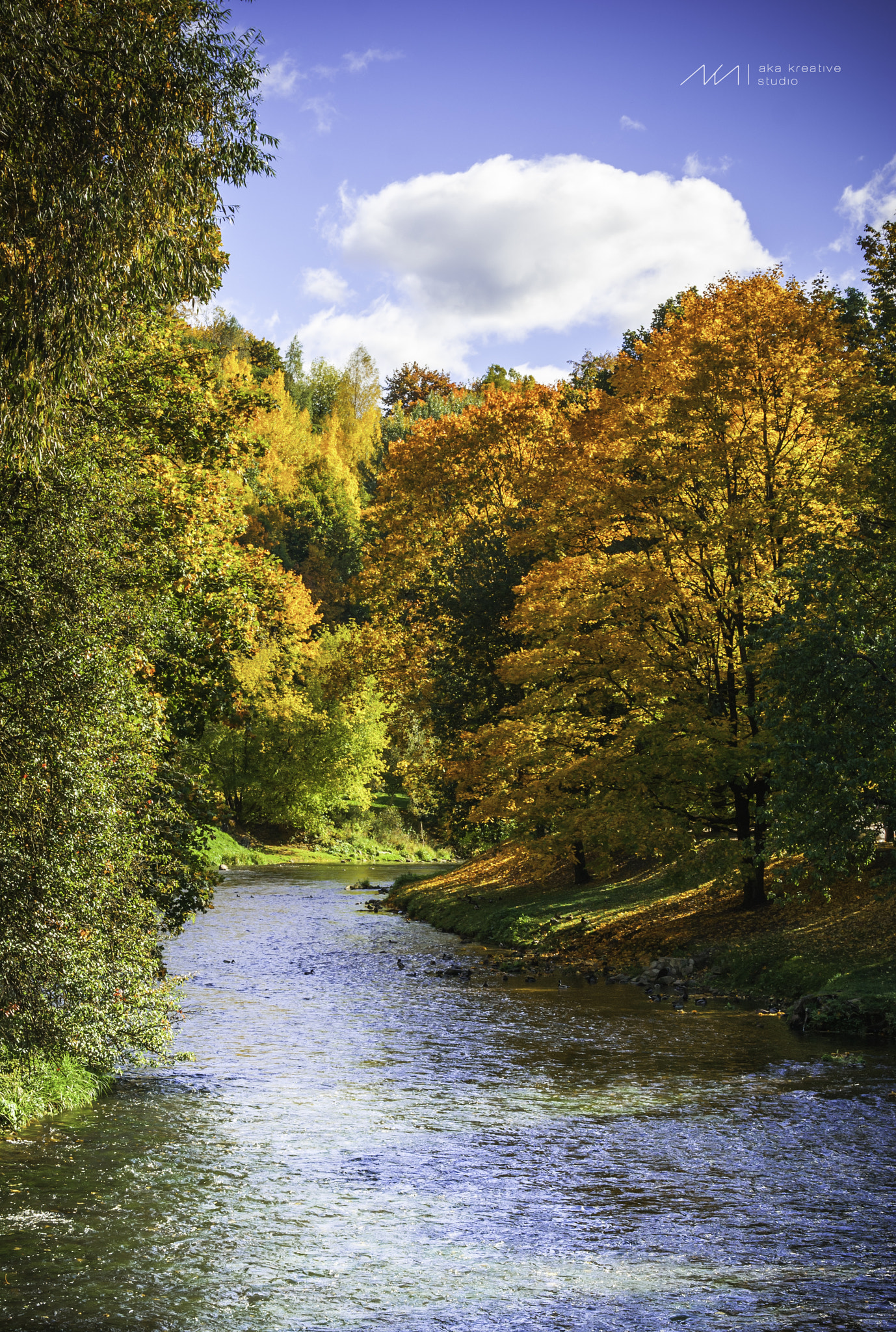 Sony Alpha DSLR-A230 + Sony DT 50mm F1.8 SAM sample photo. Colours of autumn photography