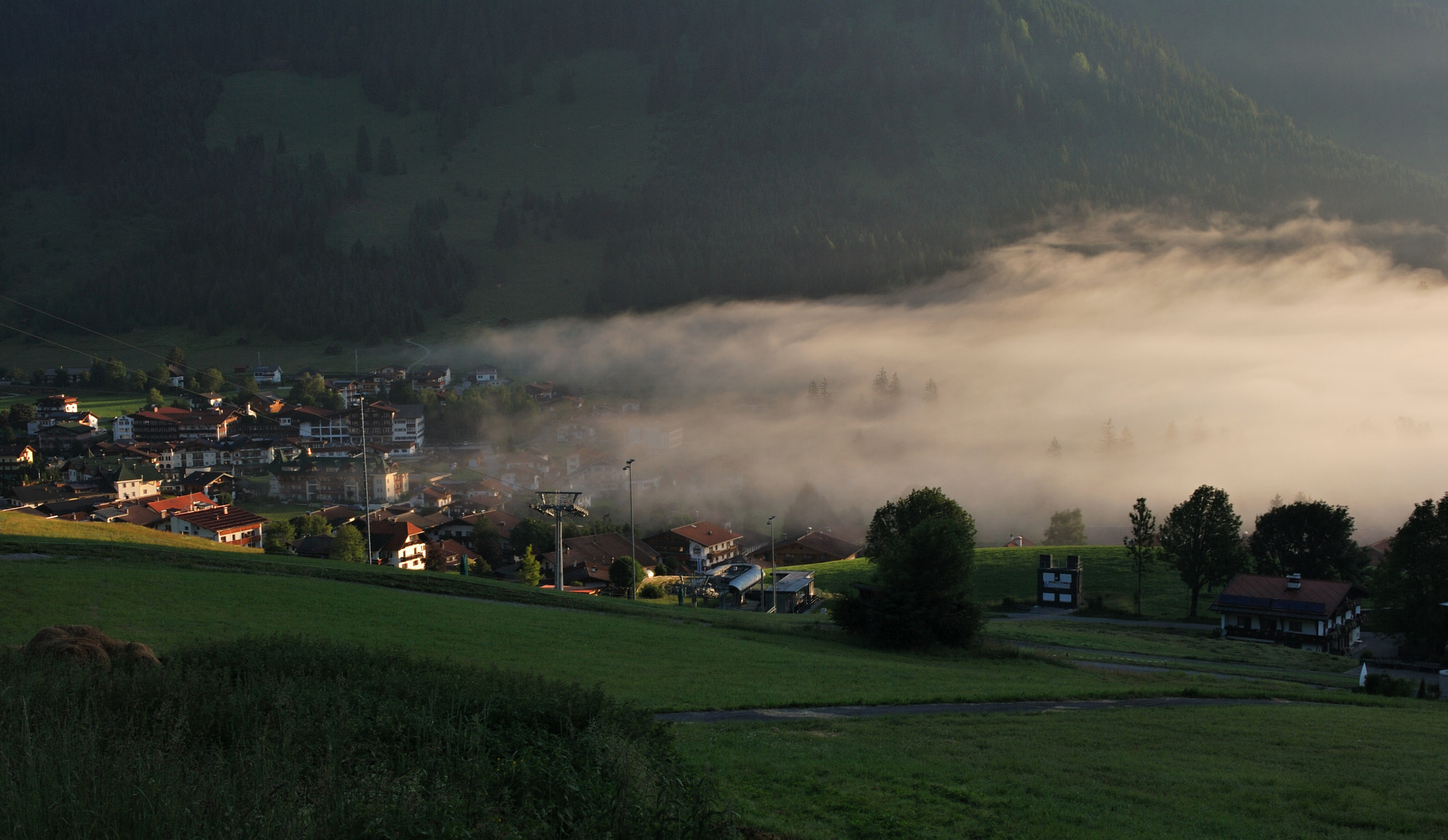 Nikon D60 + Nikon AF-S Nikkor 28mm F1.8G sample photo. Swallowed by the fog photography