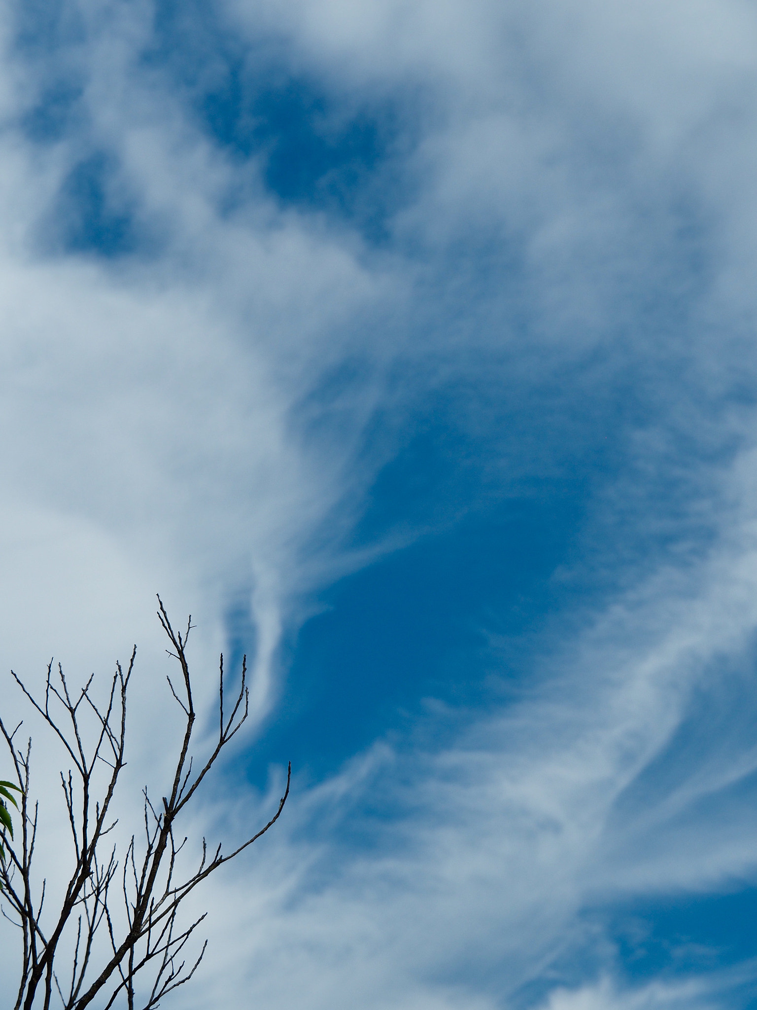 Olympus OM-D E-M5 II sample photo. Autumn skies photography