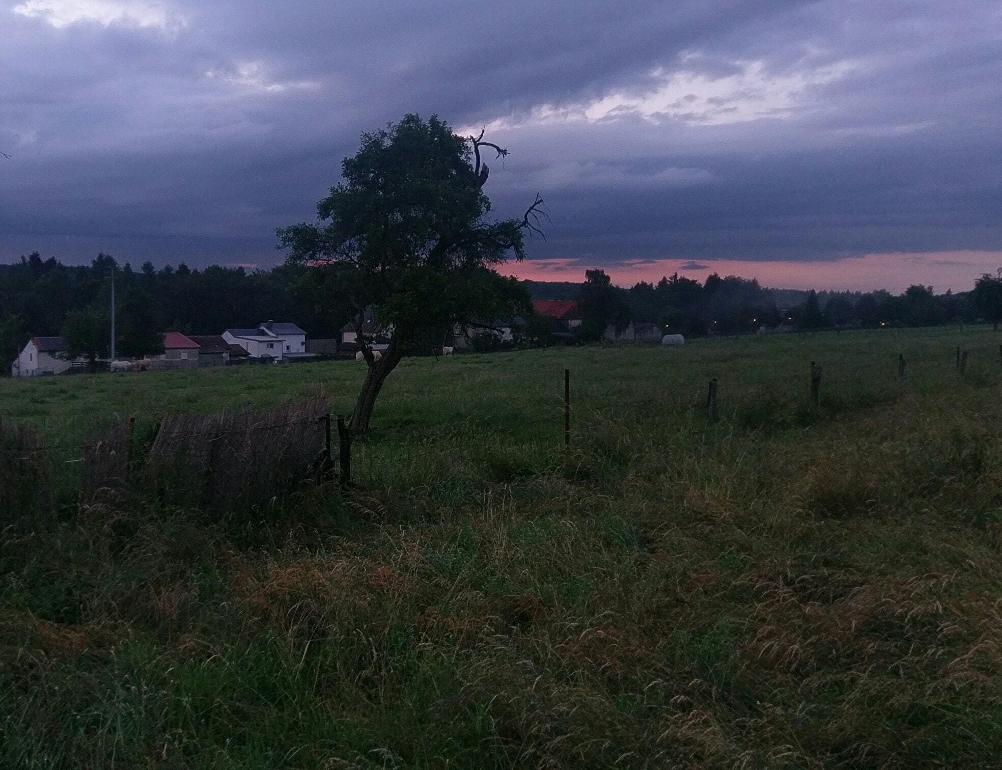 HTC M10 sample photo. Lone tree photography
