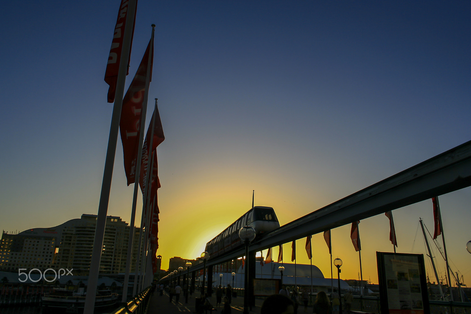 Canon EF-S 18-55mm f/3.5-5.6 USM sample photo. In the sun photography