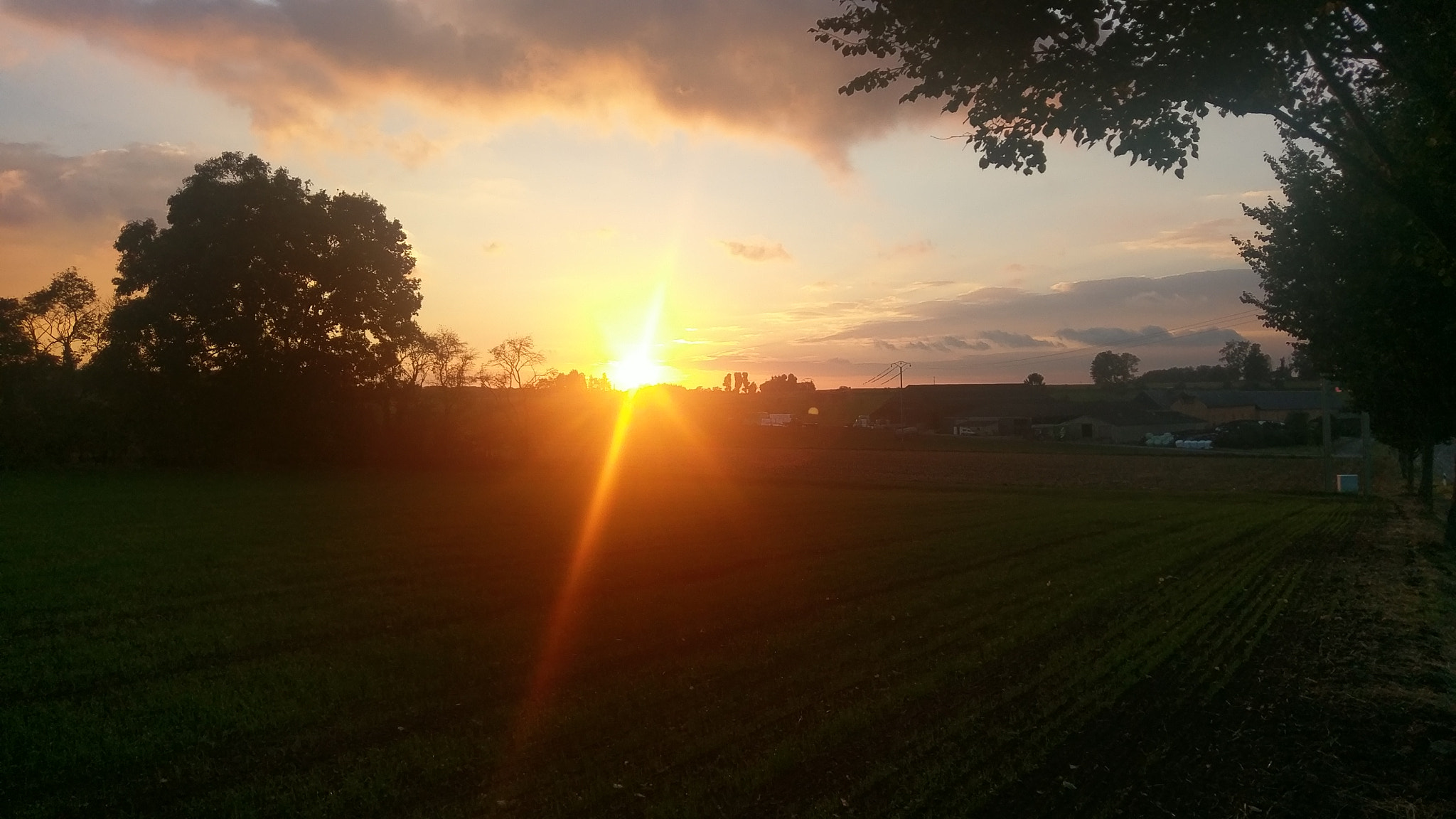 HTC M10 sample photo. Sunshine photography