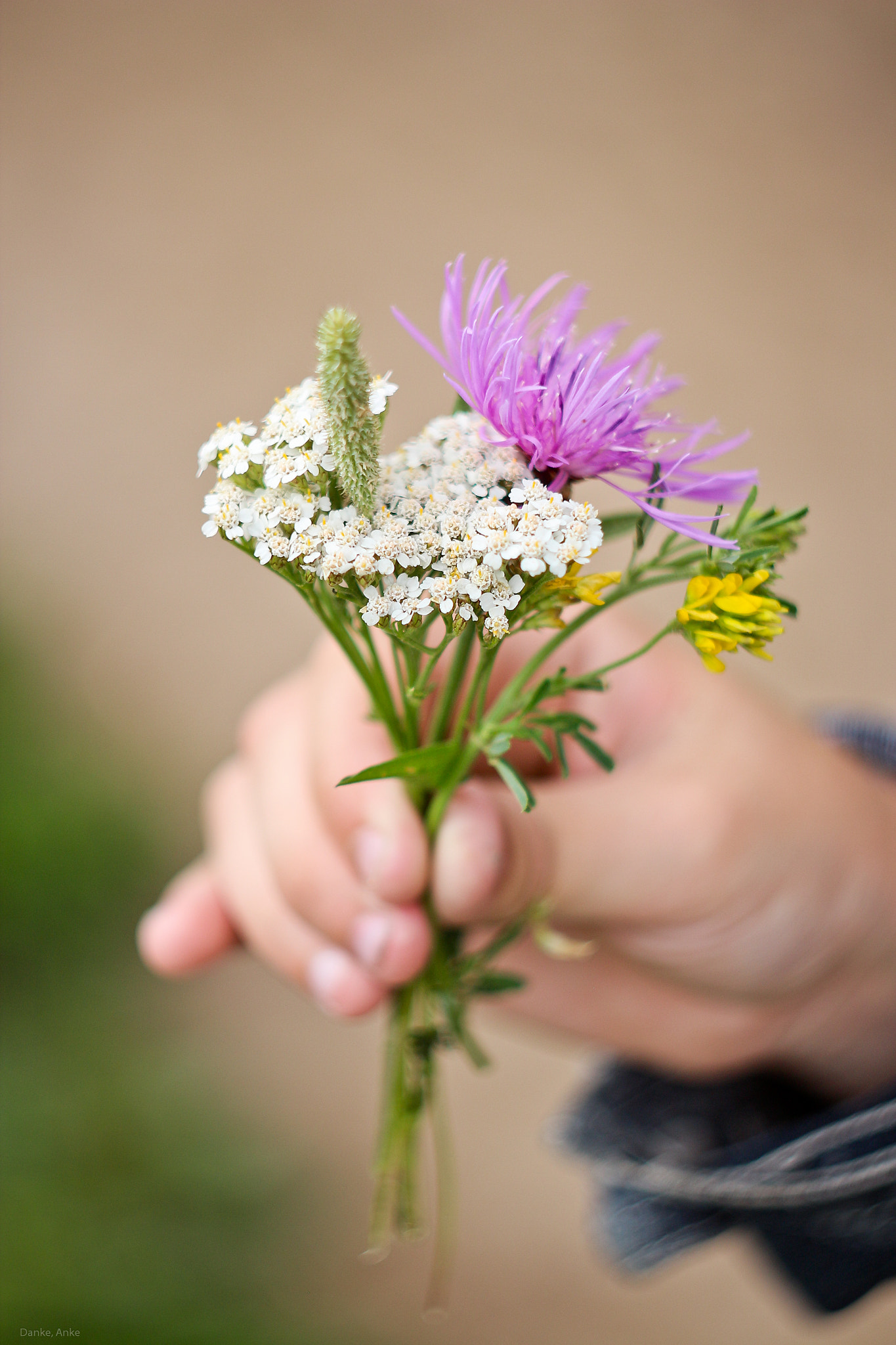 Canon EF 35-80mm f/4-5.6 sample photo. Kid's bouquet photography