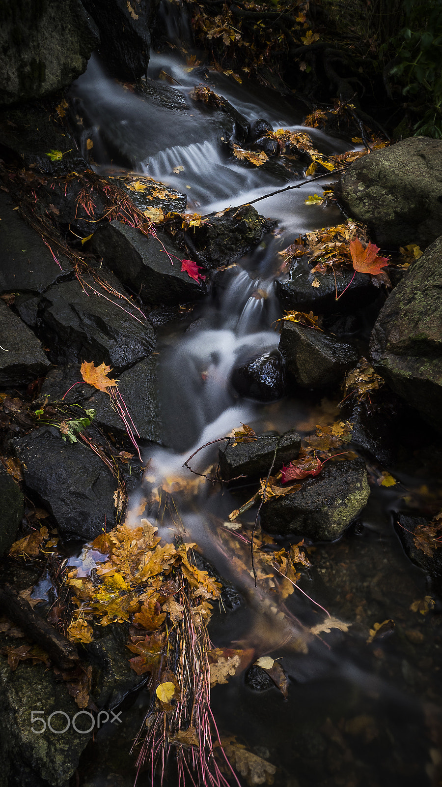Olympus OM-D E-M5 II sample photo. The little fall photography
