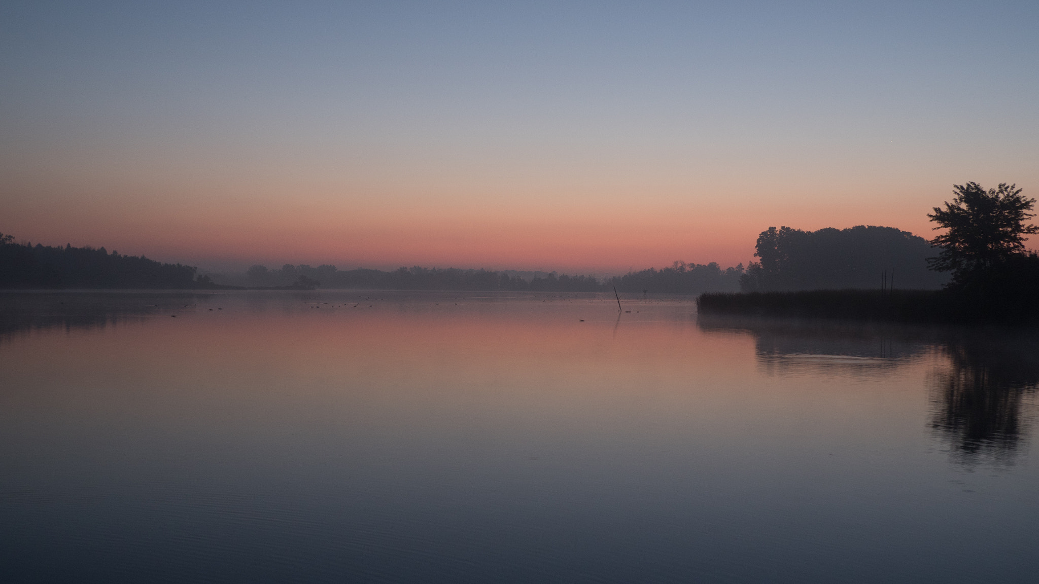 Olympus OM-D E-M5 II + Panasonic Lumix G 20mm F1.7 ASPH sample photo. Project 365, day two hundred and eighty-one - misty morning glow photography