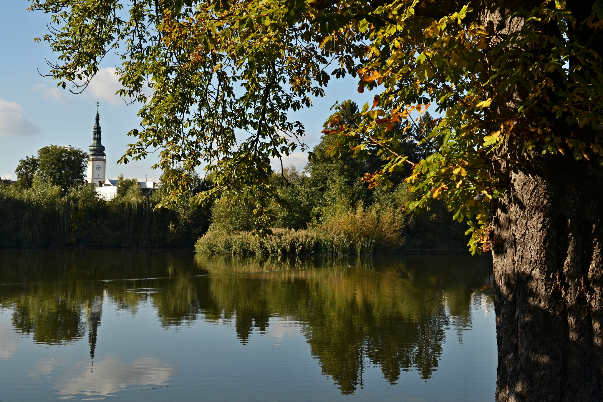 Nikon D5100 + Nikon AF-S Nikkor 28mm F1.8G sample photo. Pohled na litovelskou radnici photography